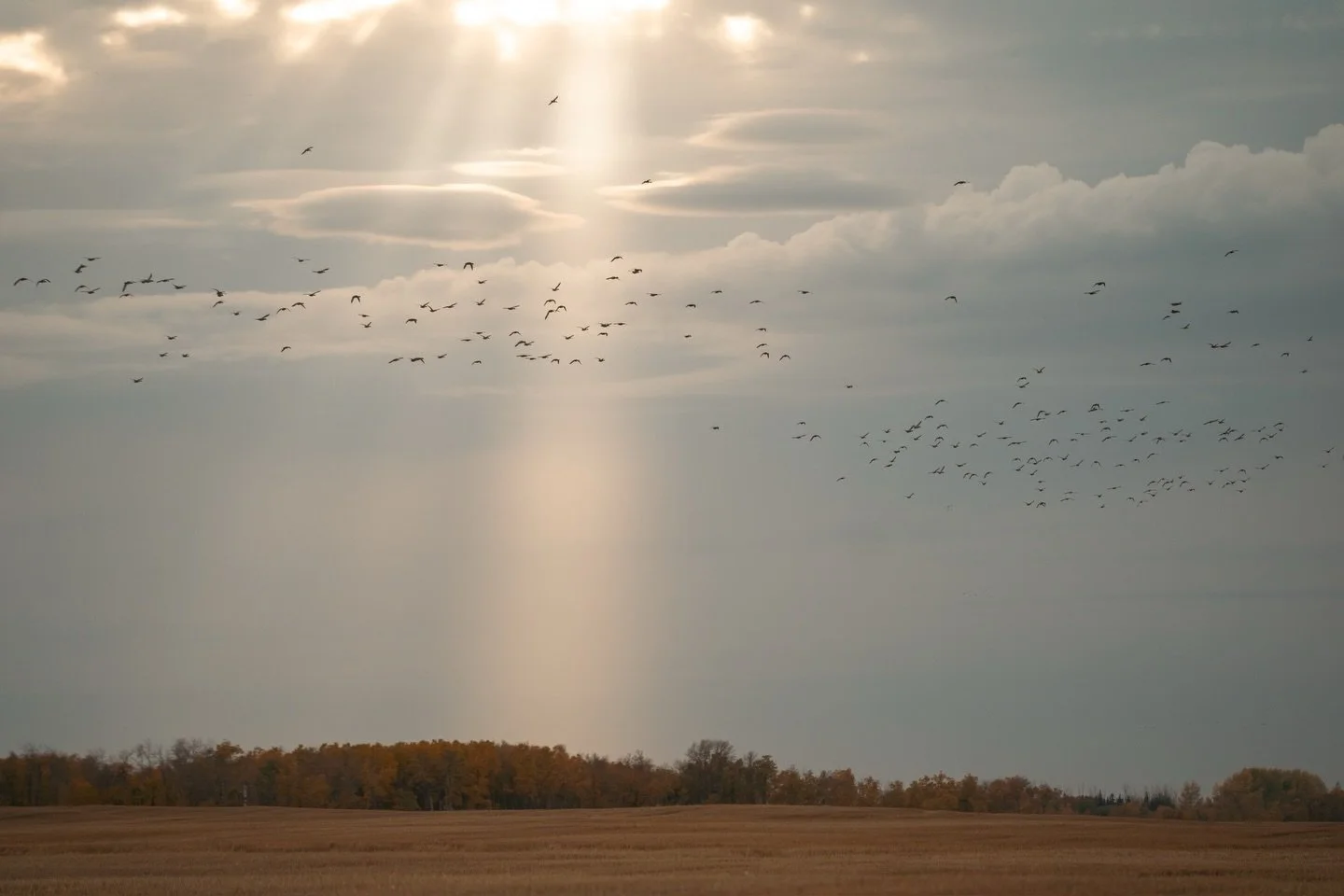 There&rsquo;s peace in places like this.

#XplorWaterfowl #XplorBoatworks #DuckSeason20252026 #WaterfowlHunting #GoAnywhereGoEverywhere