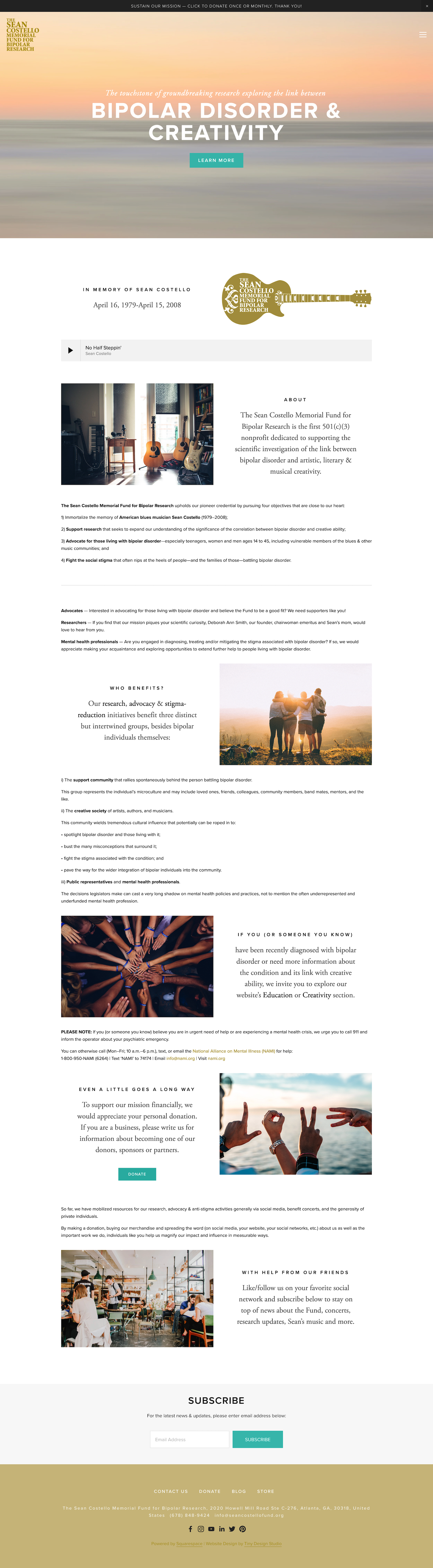 Website home page portfolio image of The Sean Costello Memorial Foundation for Bipolar Research, a nonprofit website designed on the Squarespace platform