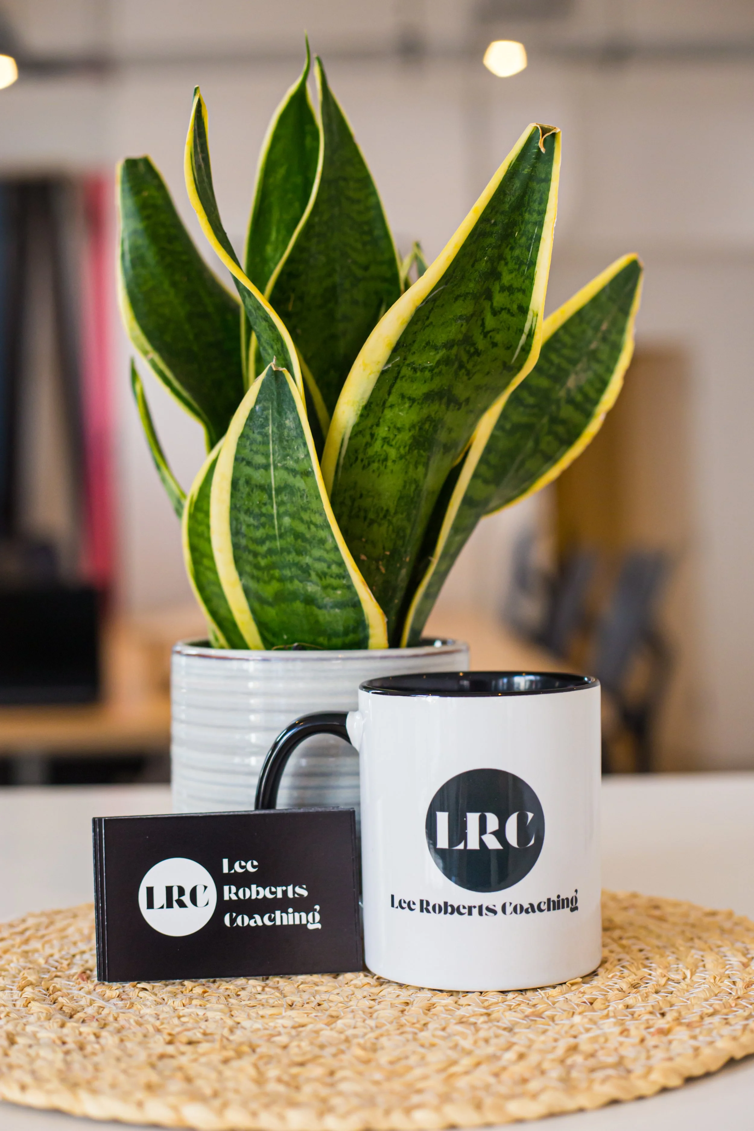 A potted snake plant on a table with branding materials for Lee Roberts Coaching, including a mug and business cards, on a woven placemat.