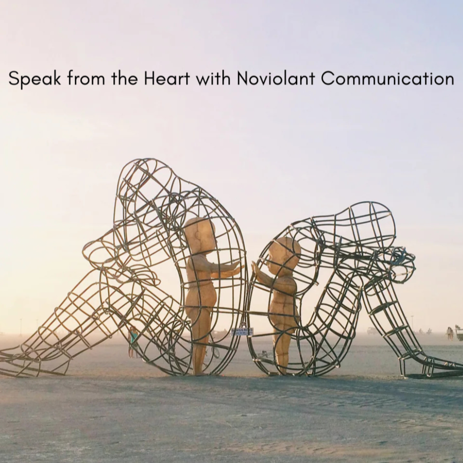 Connect%252Btrugh%252Bconflict%252Bwith%252BNVC%252B%2525281%252529.png (Copy) (Copy)