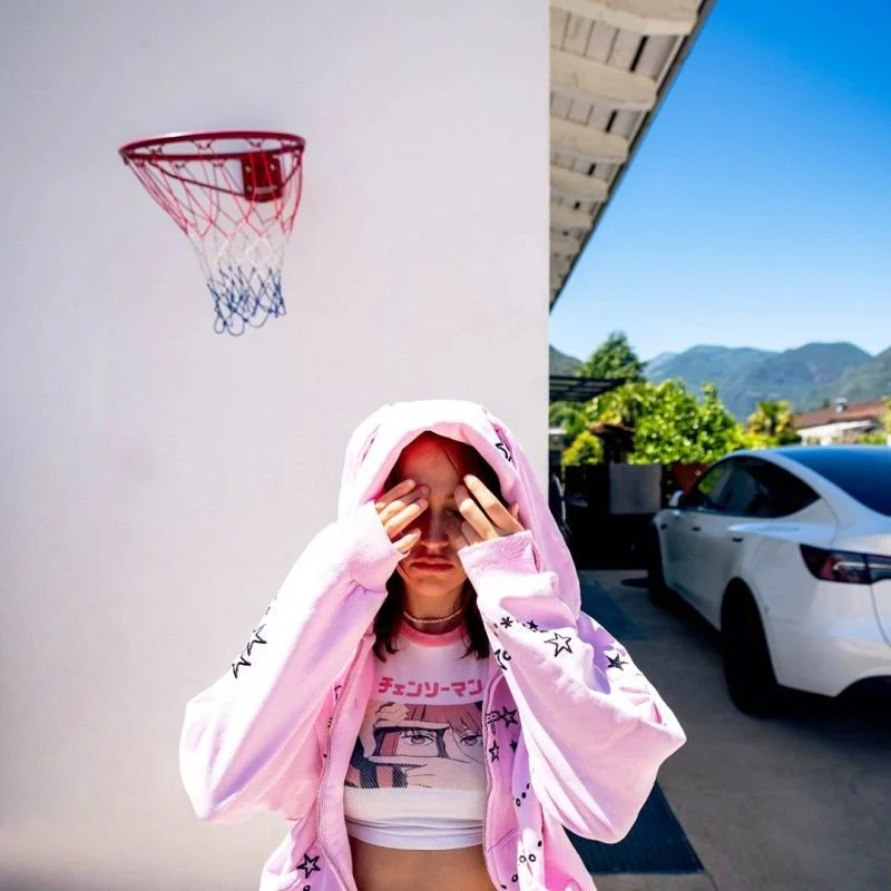 hollywood hills fenice.jpg