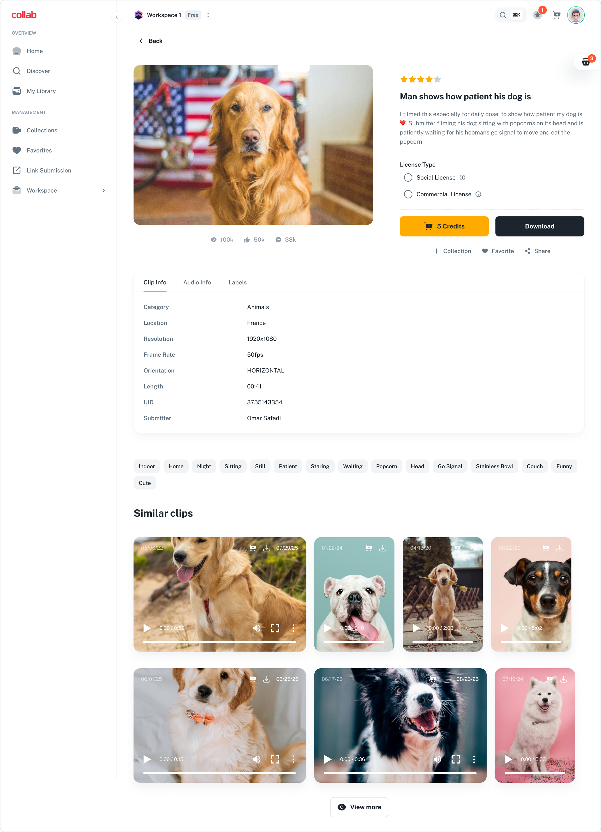 A screenshot of a webpage showing a video of a dog sitting patiently in a medical setting. The webpage includes video details, user interface options, and similar videos of dogs.