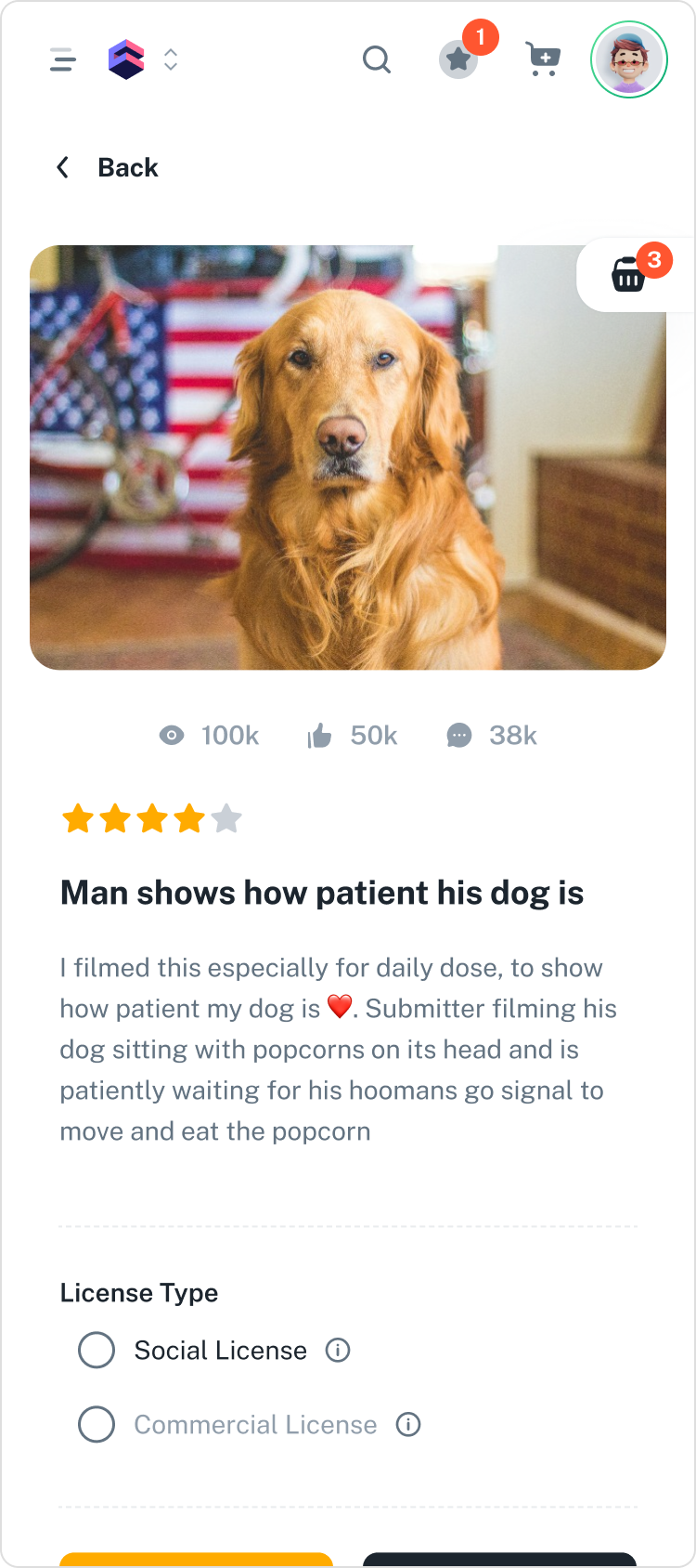 A close-up photo of a golden retriever dog sitting indoors with a blurred background that includes an American flag and a bicycle. The dog is looking directly at the camera.