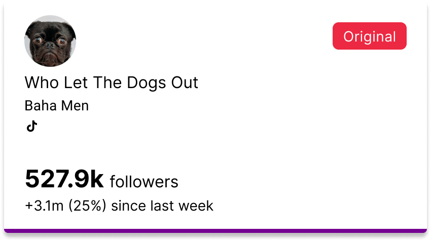Social media profile for 'Who Let The Dogs Out' by Baha Men showing 527.9k followers and a small dog profile picture.
