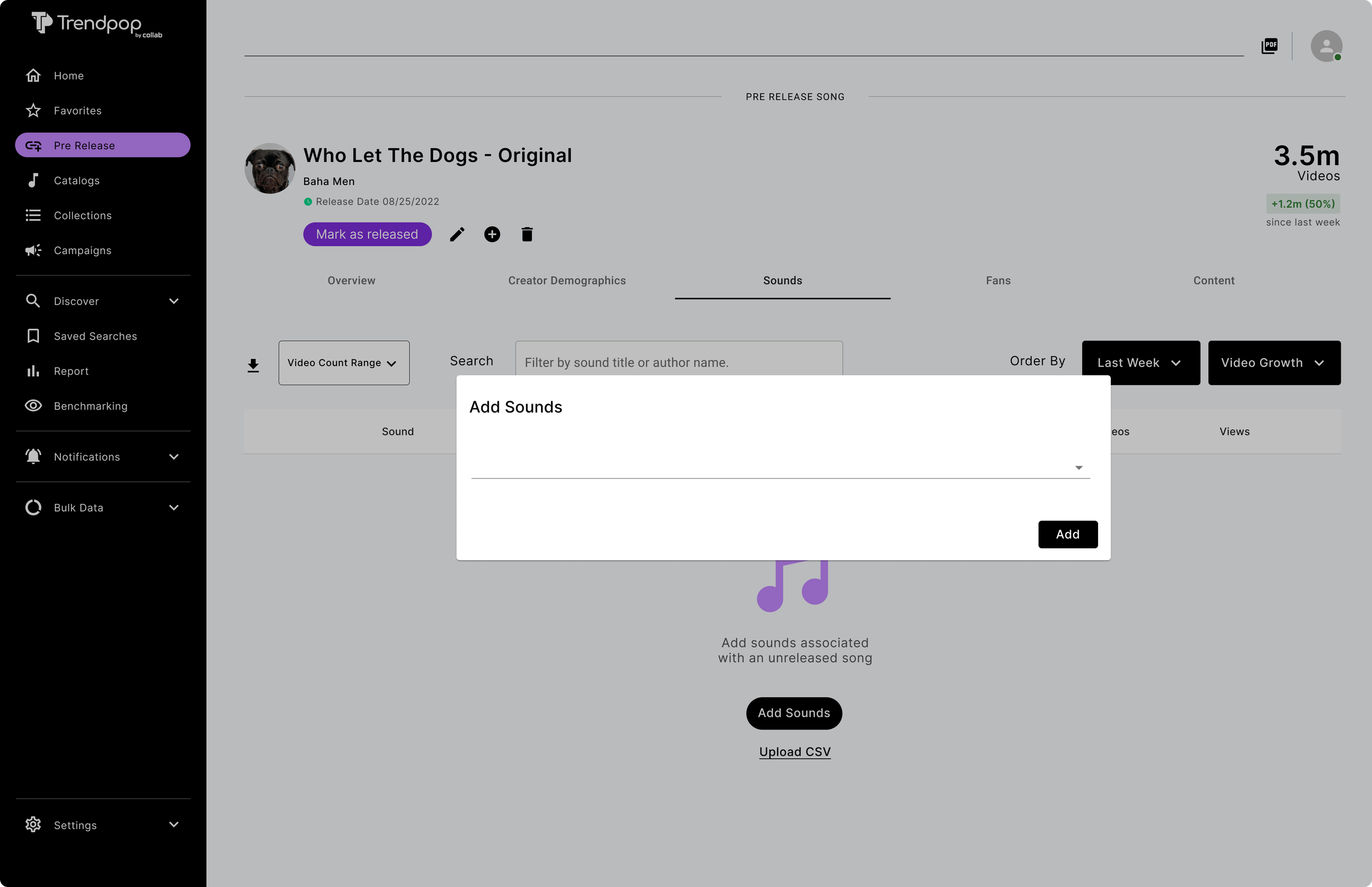 Screenshot of a video management dashboard for the song 'Who Let The Dogs - Original' by Baha Men. The interface shows options to add sounds, view creator demographics, and track video analytics. The screen displays data about the song's release date, video count, and recent growth metrics.