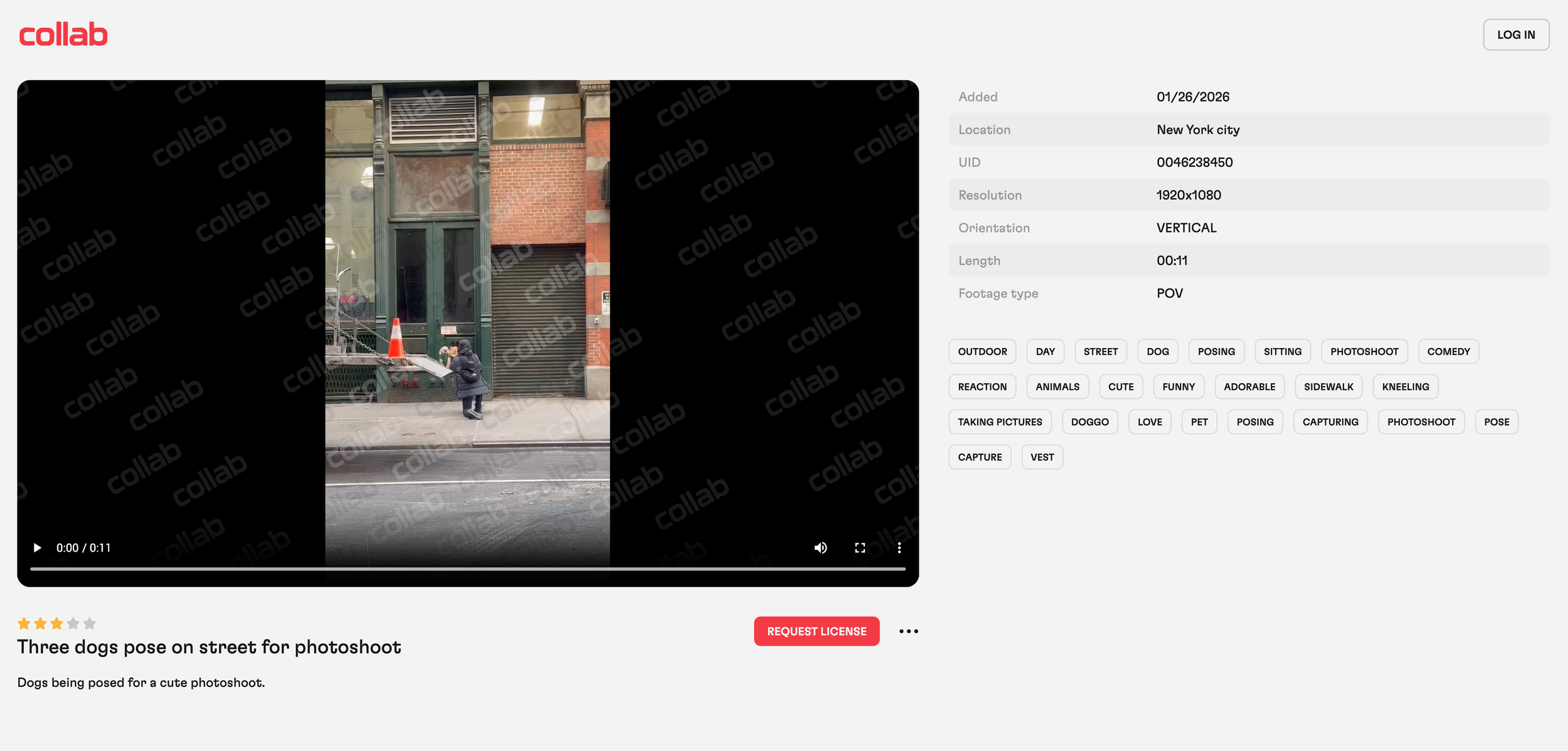 Three dogs pose on a city street for a photoshoot, with two dogs standing on their hind legs and a third dog leaning against a railing, background includes a brick building, a green door, and sidewalk.