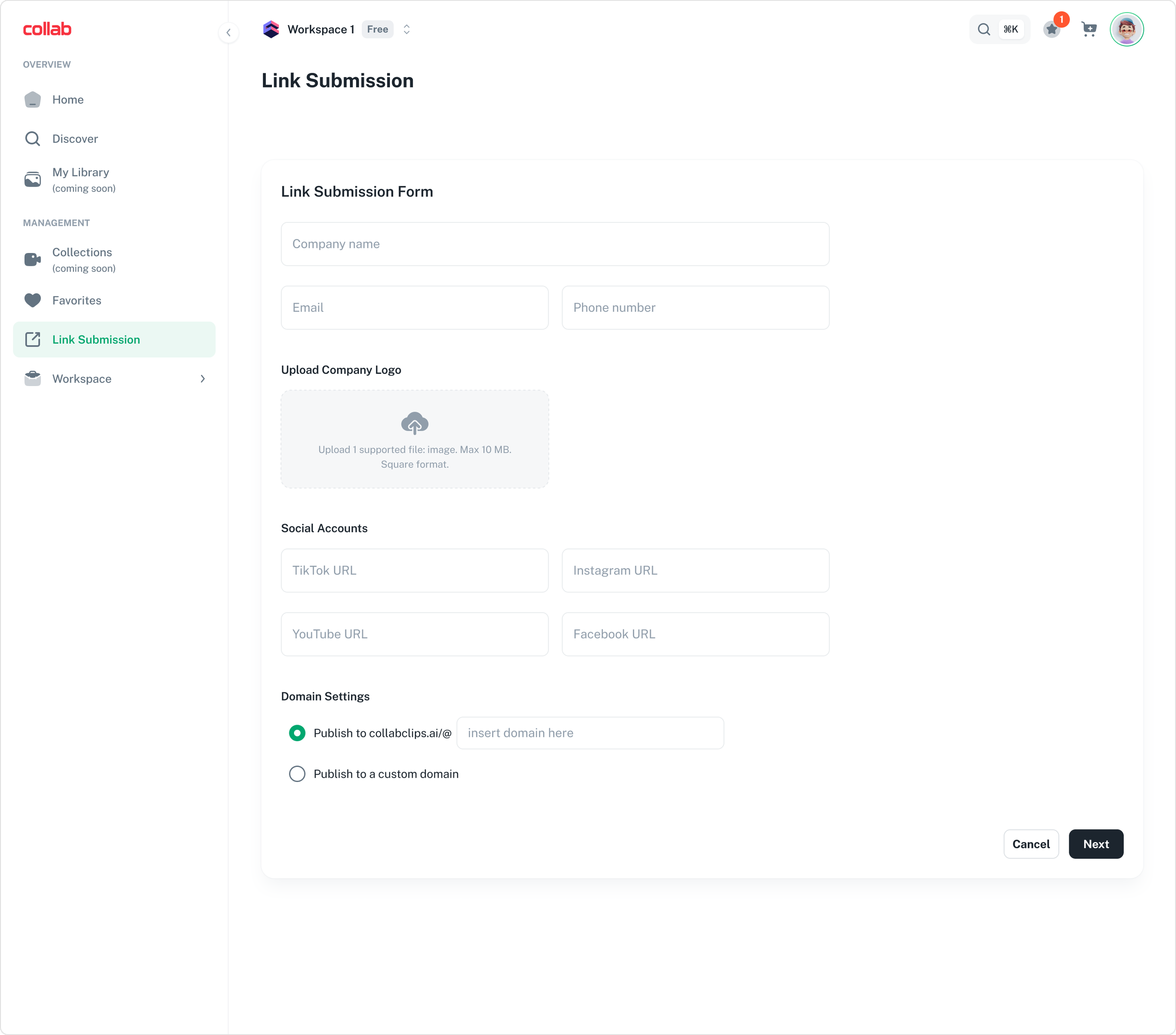 Screenshot of a web interface for link submission in a workspace, showing form fields for company name, email, phone number, social media URLs, and domain settings, with a sidebar navigation menu on the left.