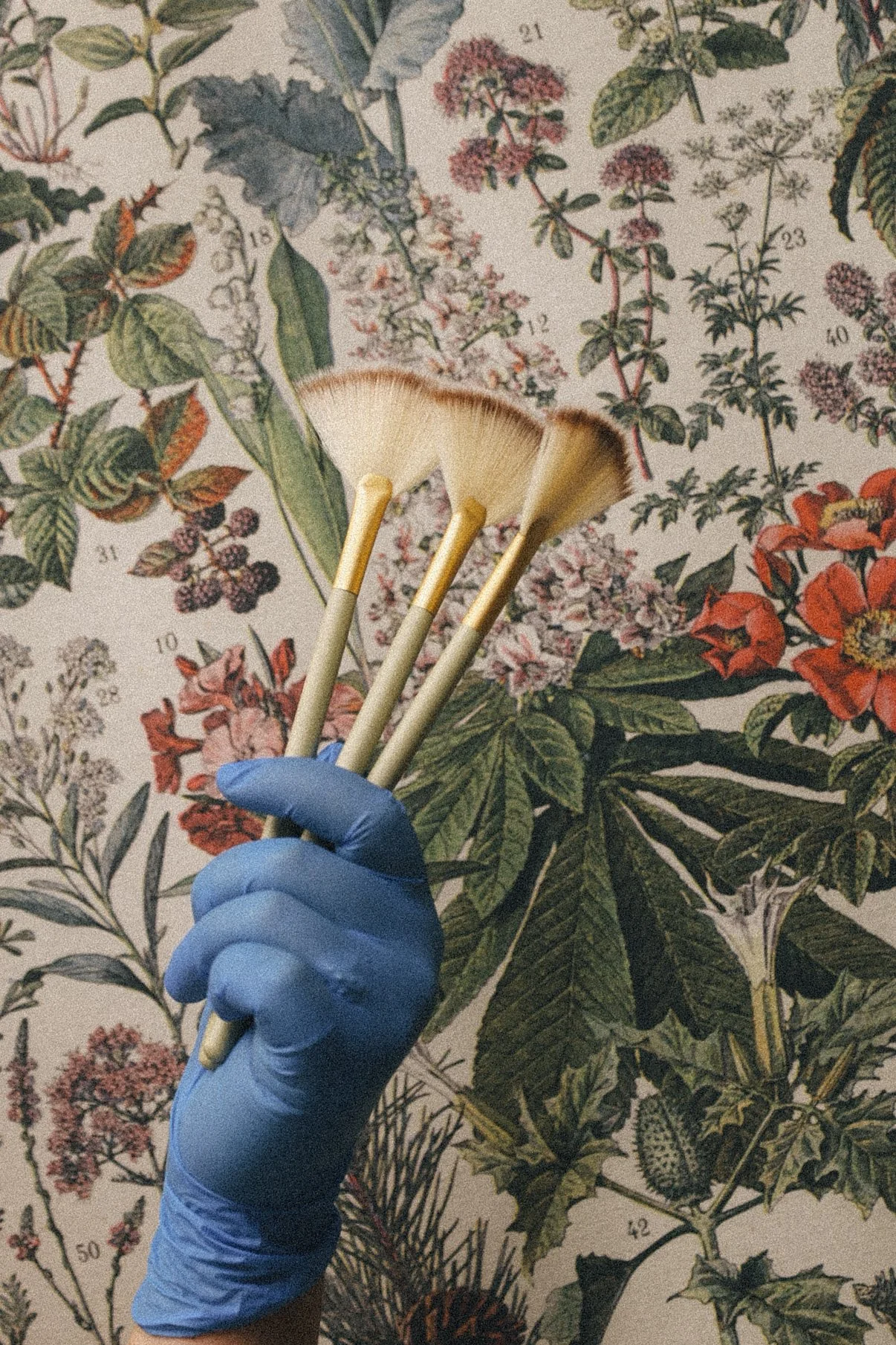 Hand wearing a blue glove holding three makeup brushes against a botanical illustration background.