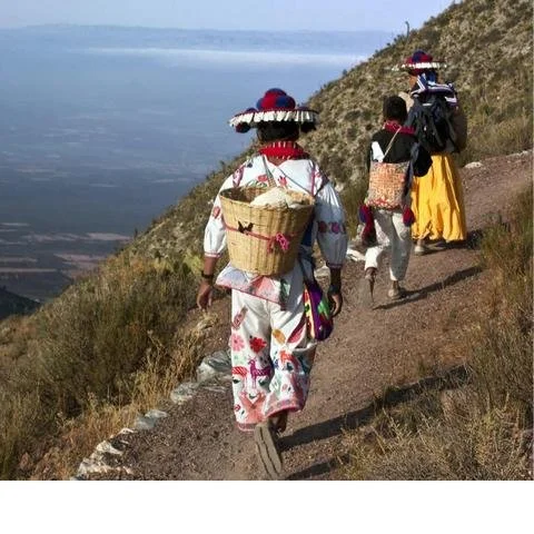 Mexico in Nayarit: Traditions, History &amp; Culture That Remain Alive