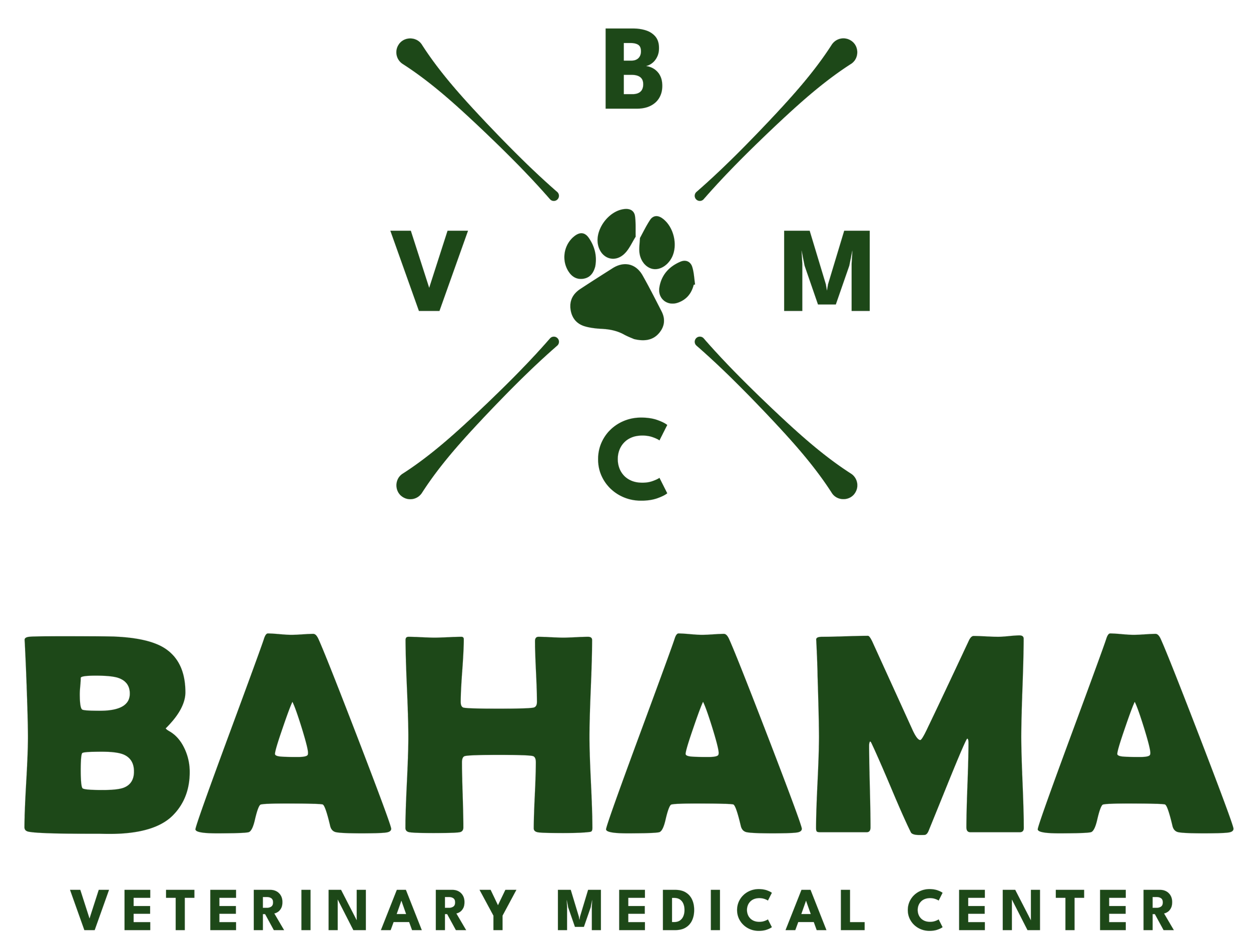 bvmclogowebsite-1.png