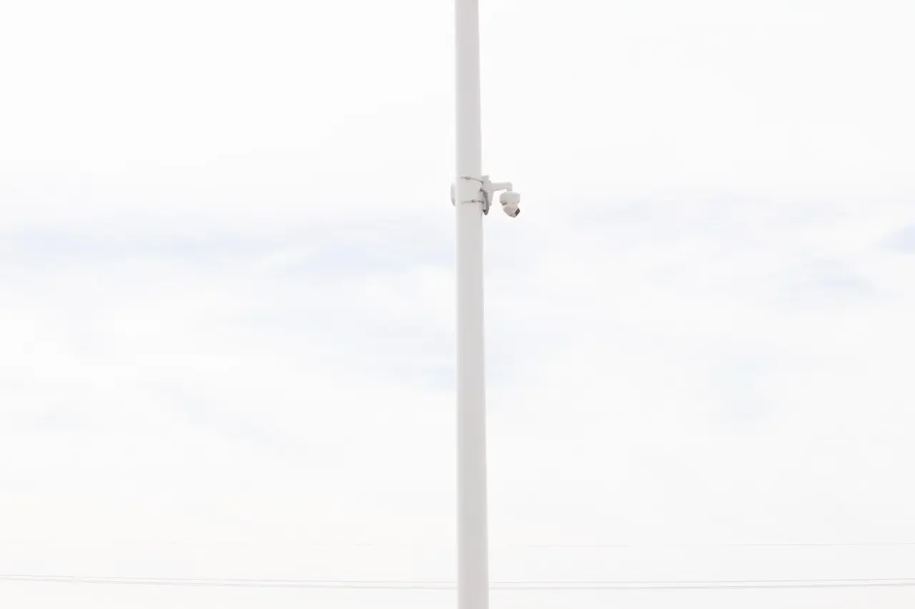 The Role of Security Cameras in Protecting Your Business