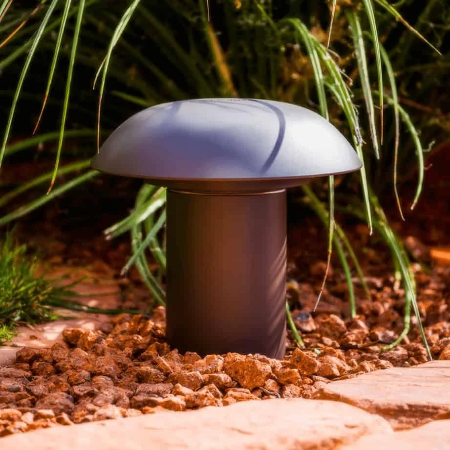 A modern outdoor LED landscape light with a rounded top, installed among rocks and grass in a garden.