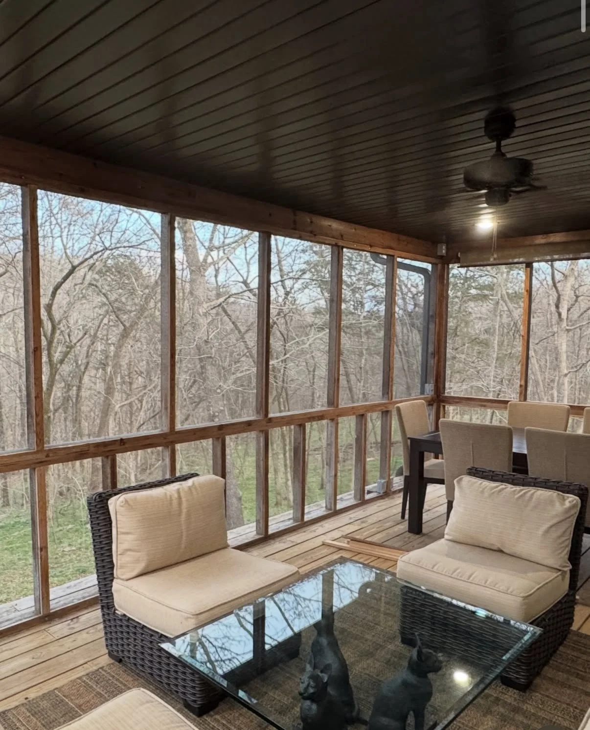 Screen Porch remodel