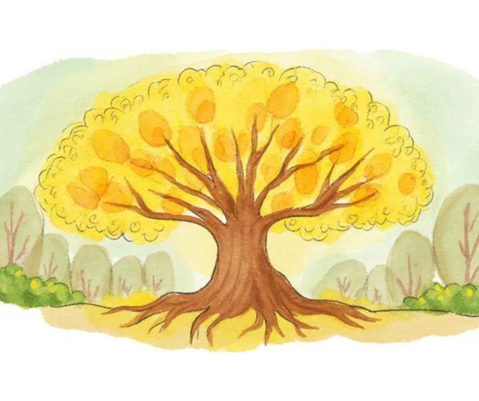 Unlock the Hidden Potential of Your Investments: Charitable Giving