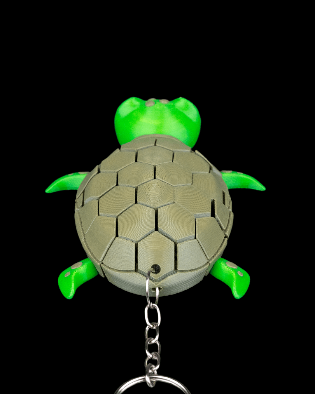 Myrtle_the_Turtle_5_793162a02a.png