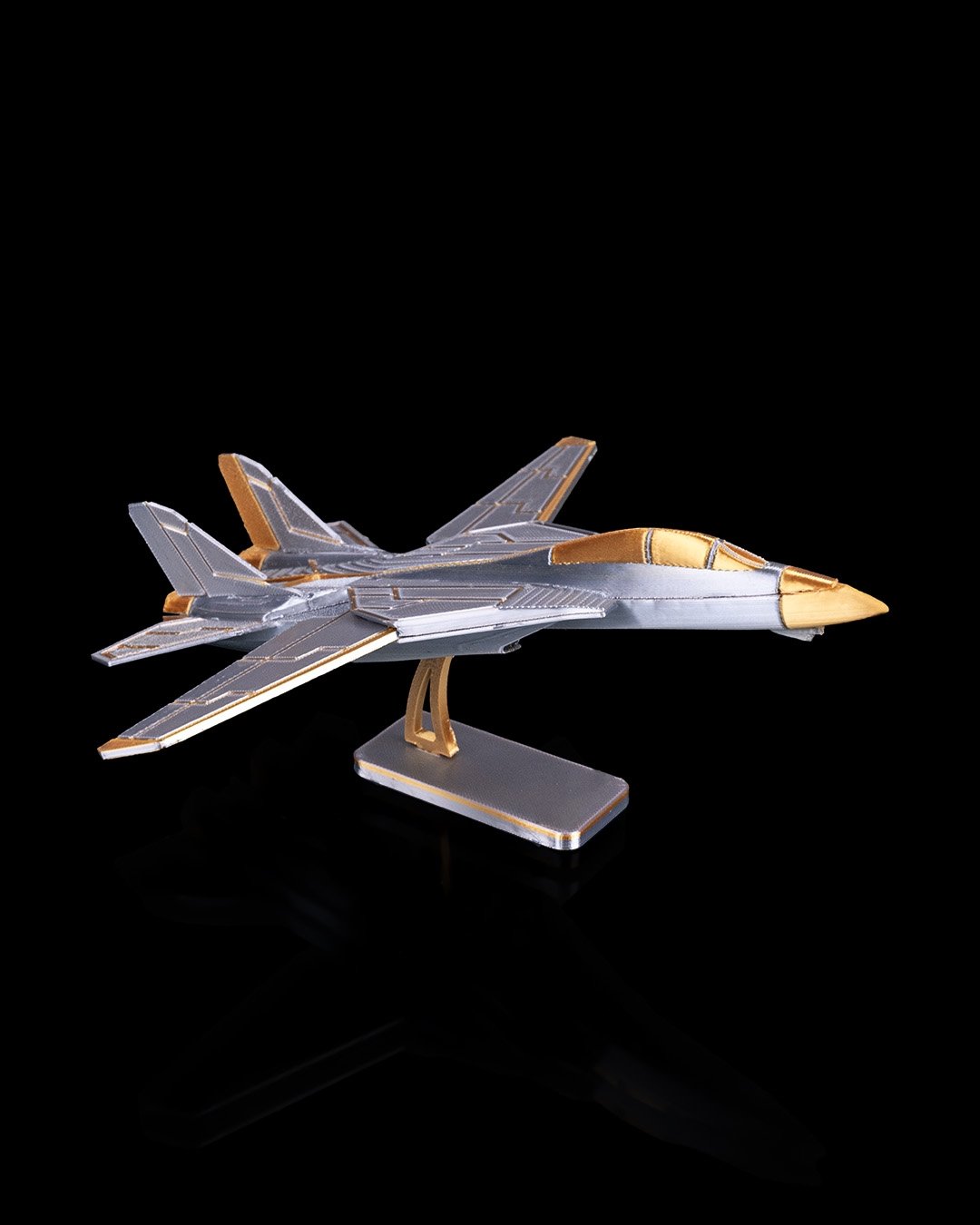 SNC_4_Fighter_Jet_1_84c4d40284.jpg