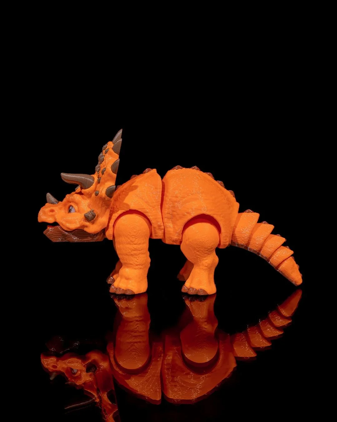 Articulated_Triceratops_4_c3e5101989.jpg