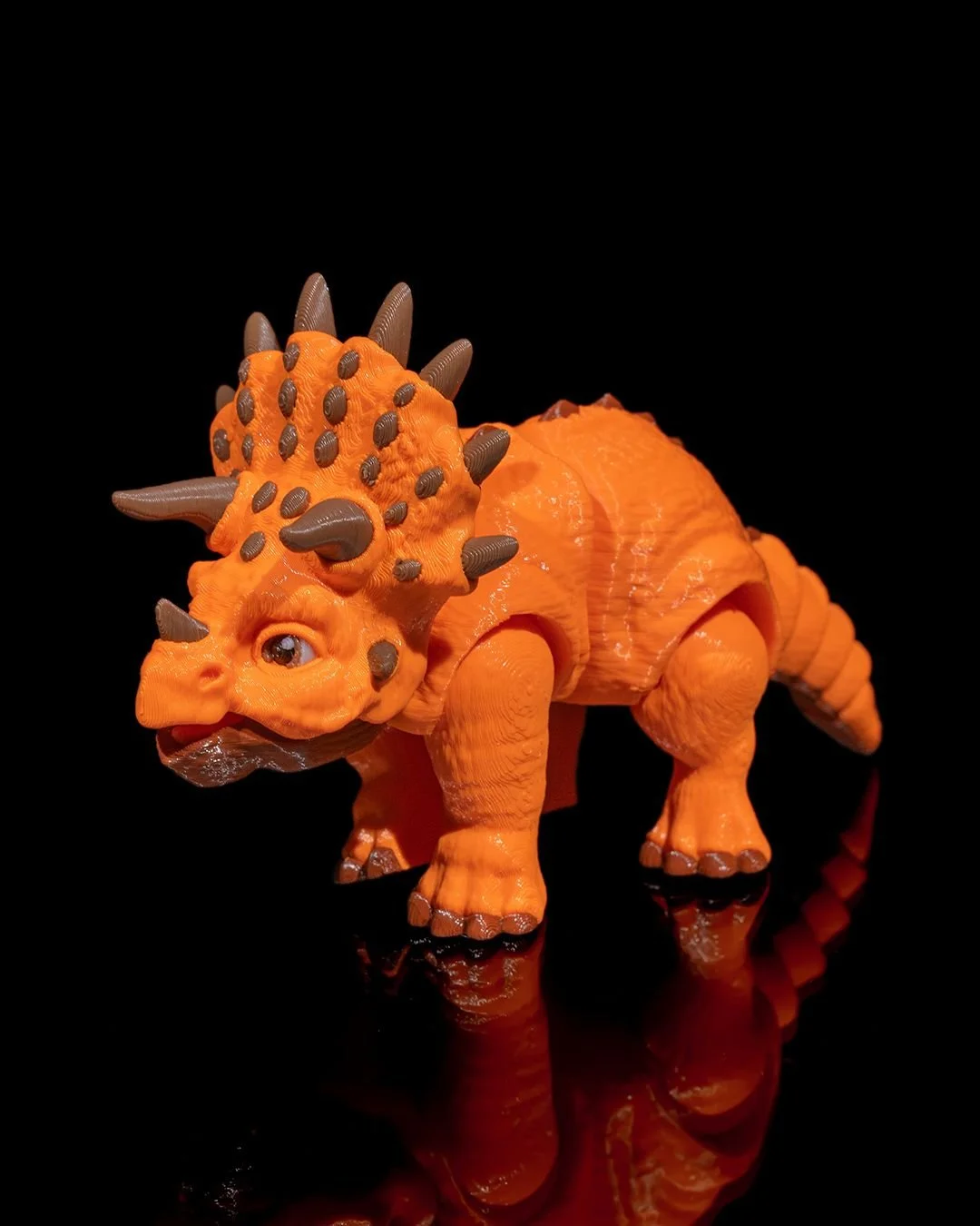 Articulated_Triceratops_2_4cb8a0da1c.jpg