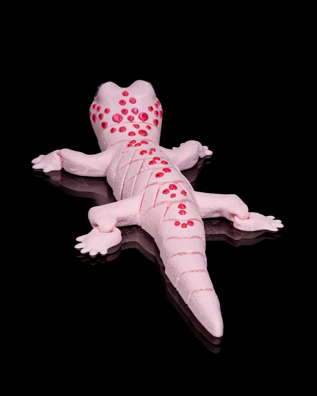 Gecko6_979169f83c.jpg