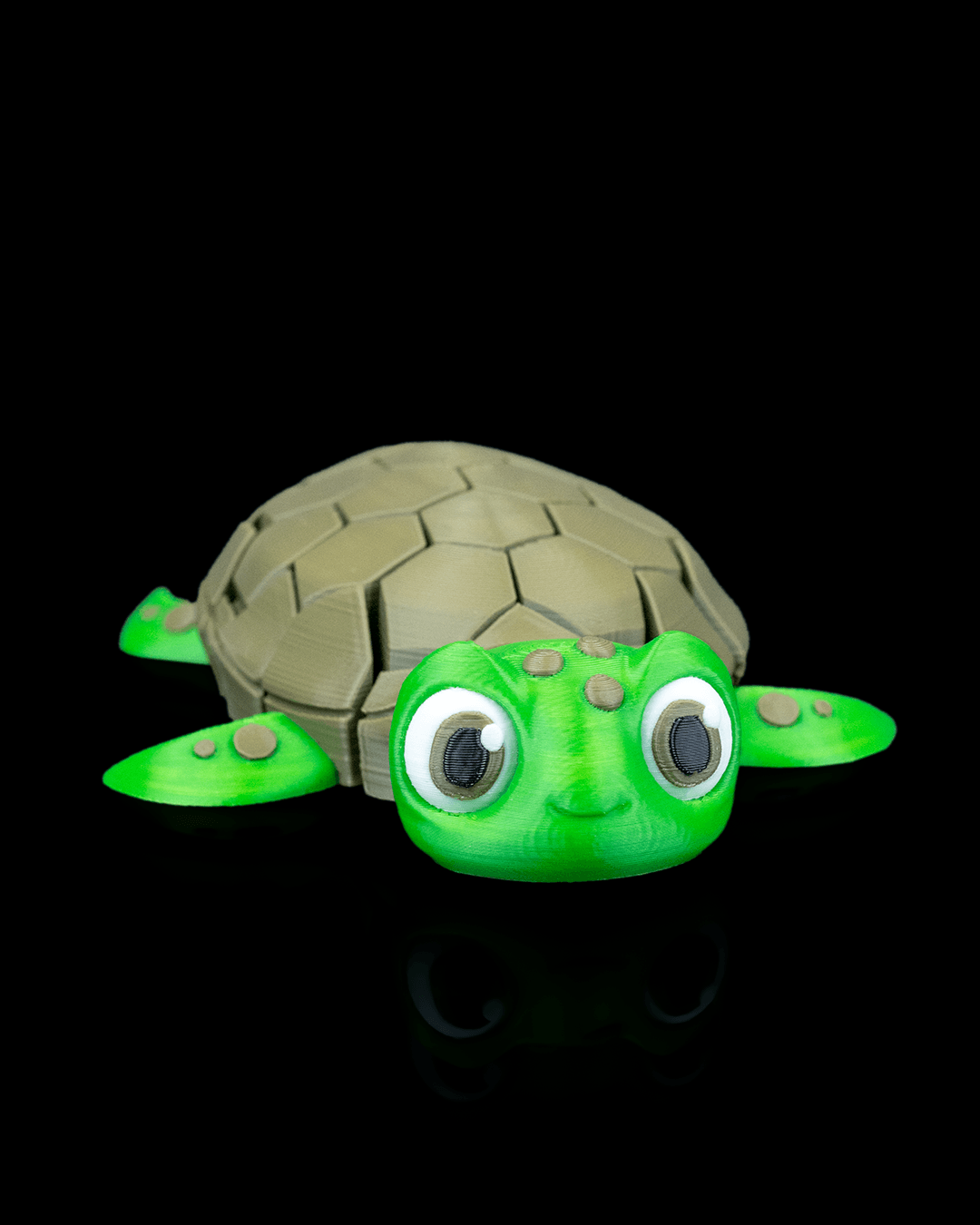 Myrtle_the_Turtle_1_86375a9cb1.png