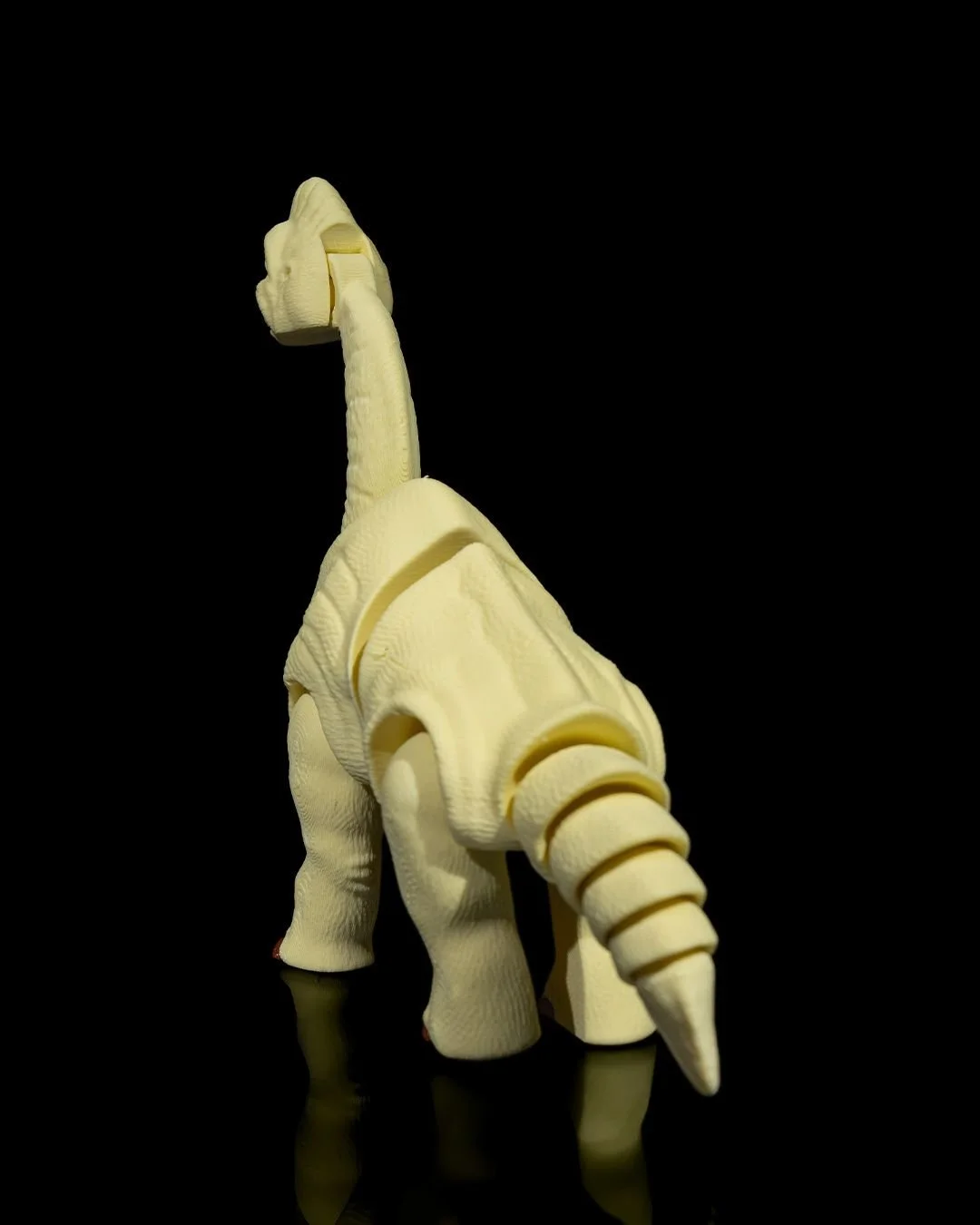 Articulated_Brachiosaurus_5_227dfad96e.jpg