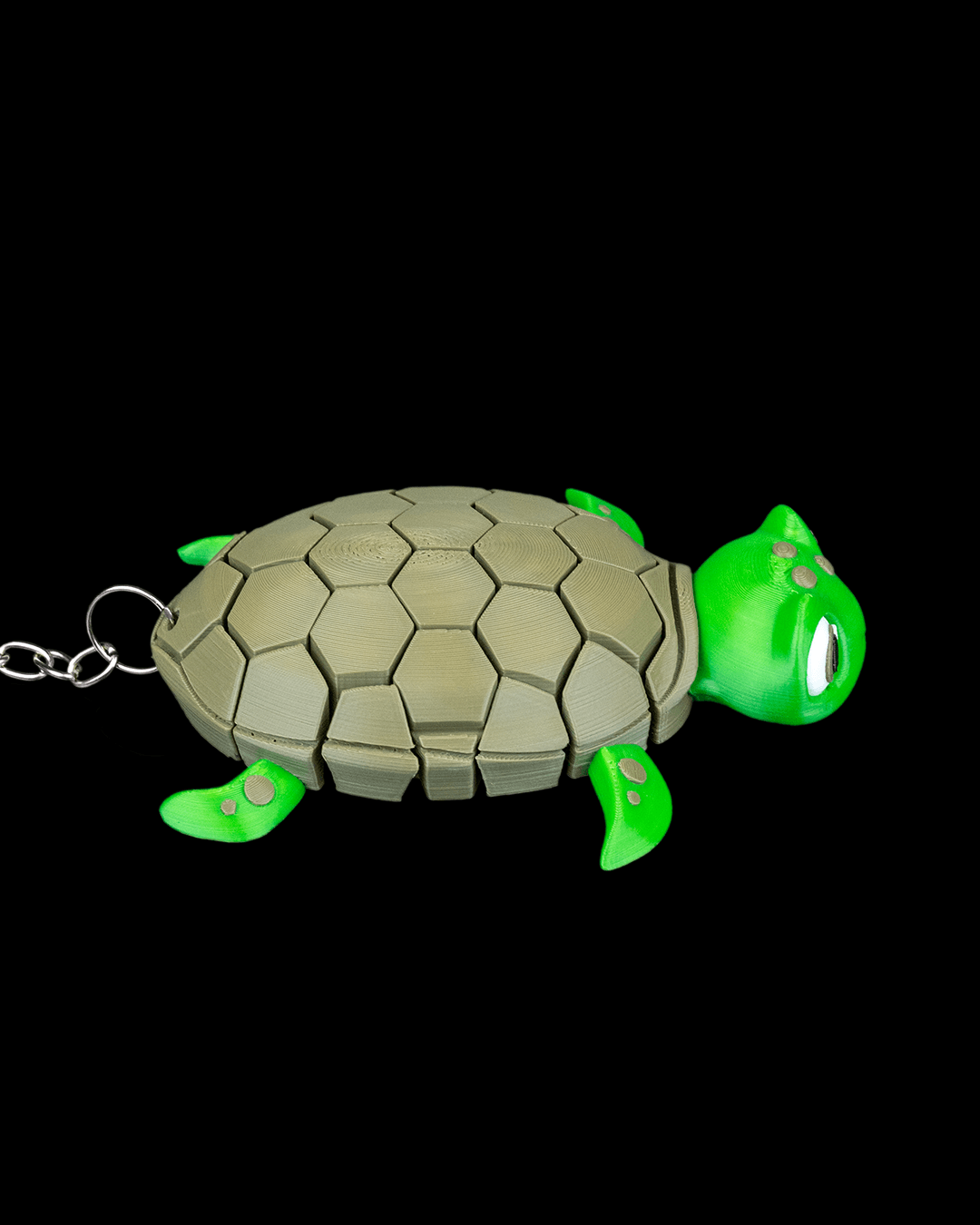 Myrtle_the_Turtle_4_919c74ba28.png