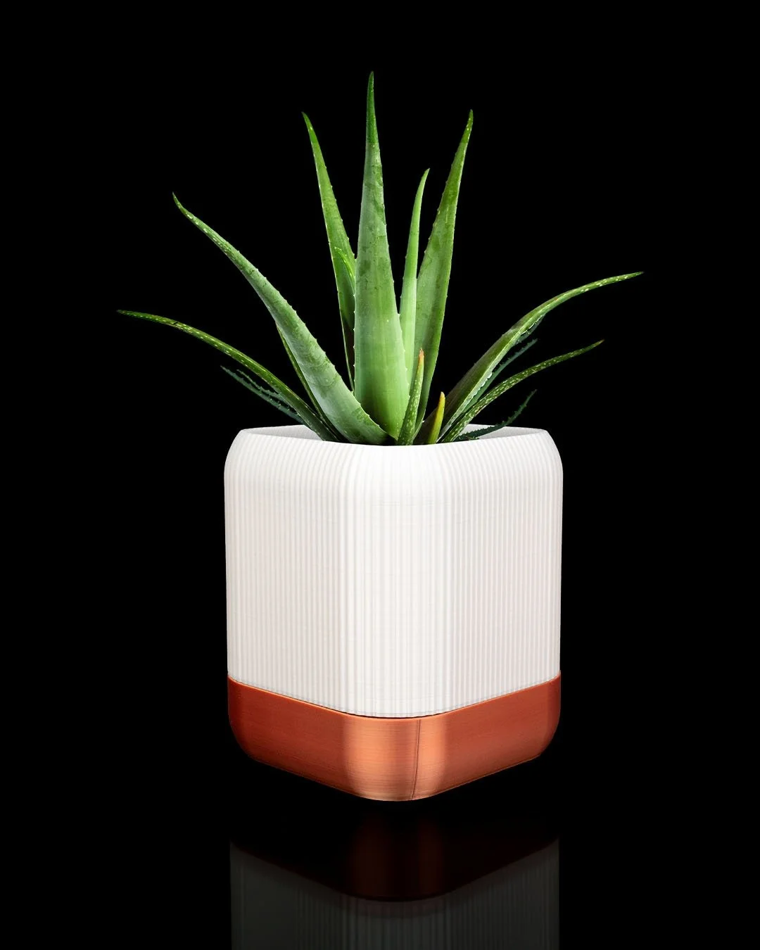 QUADRA_Turning_self_watering_planter5_a97aed6e1d.jpg