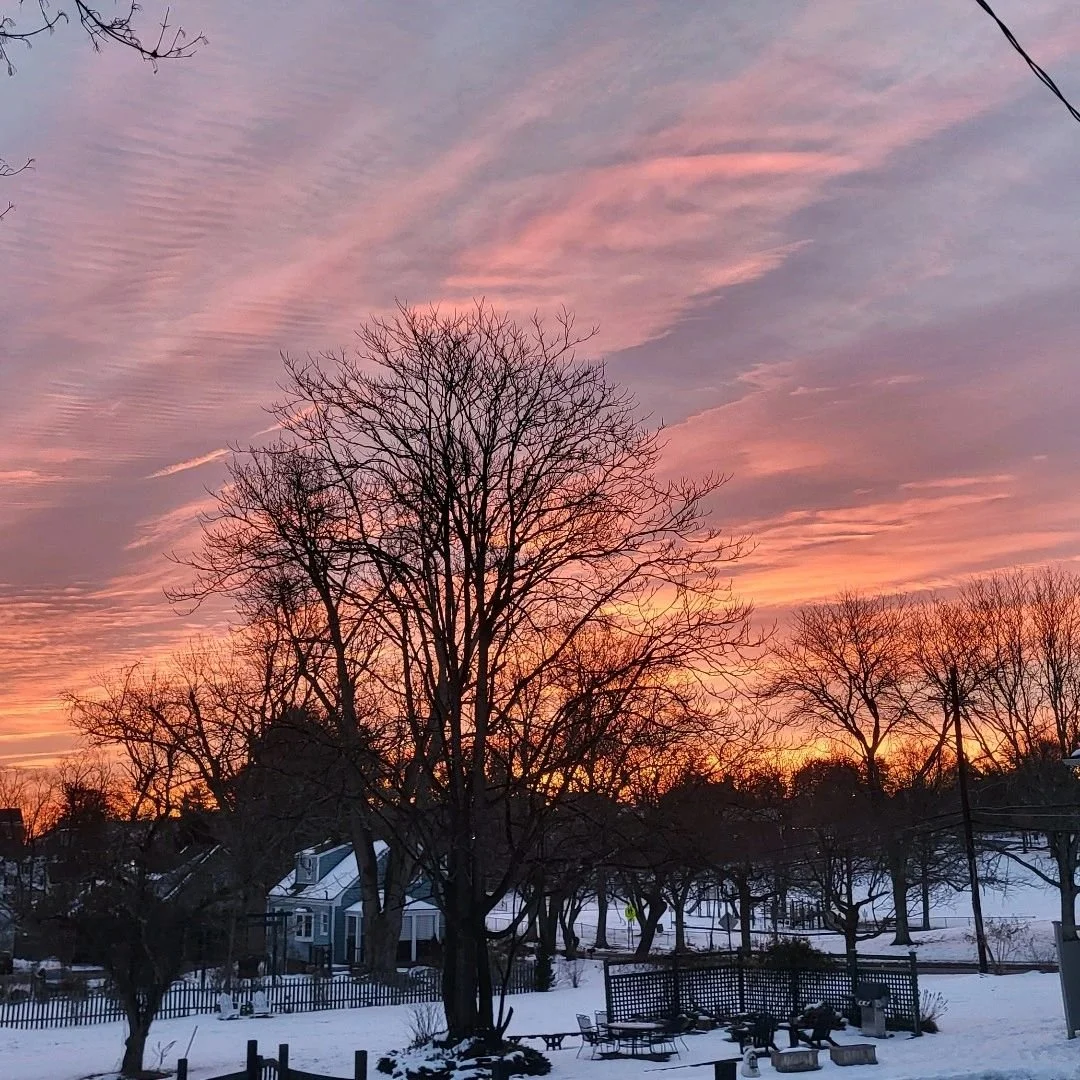 Cyclist Focused on Climate Action
