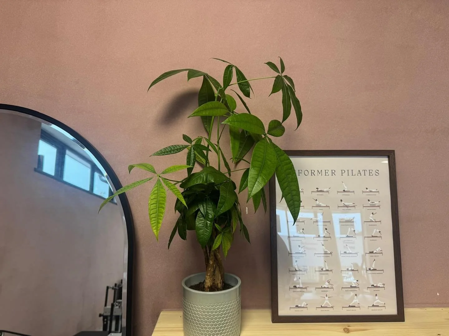 🌿 Our latest Zest newsletter is out!

Here&rsquo;s a little look at what&rsquo;s inside 👇

✨ New 8am Reformer Pilates classes:
🗓 Tuesdays with Clare (from 14th Oct)
🗓 Fridays with Verity &mdash; now on the timetable!
💻 Plus, have you seen our br