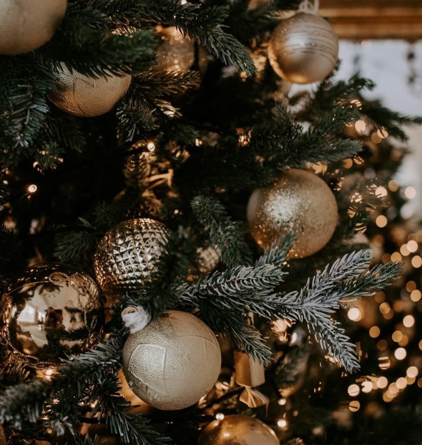 Merry Christmas everyone 🎄🤍
What a year it&rsquo;s been at Zest &ndash; thank you for showing up, working hard, and making this such a special community.
Enjoy the festive break and we&rsquo;ll see you refreshed in the New Year ✨

#zestwincanton 
#