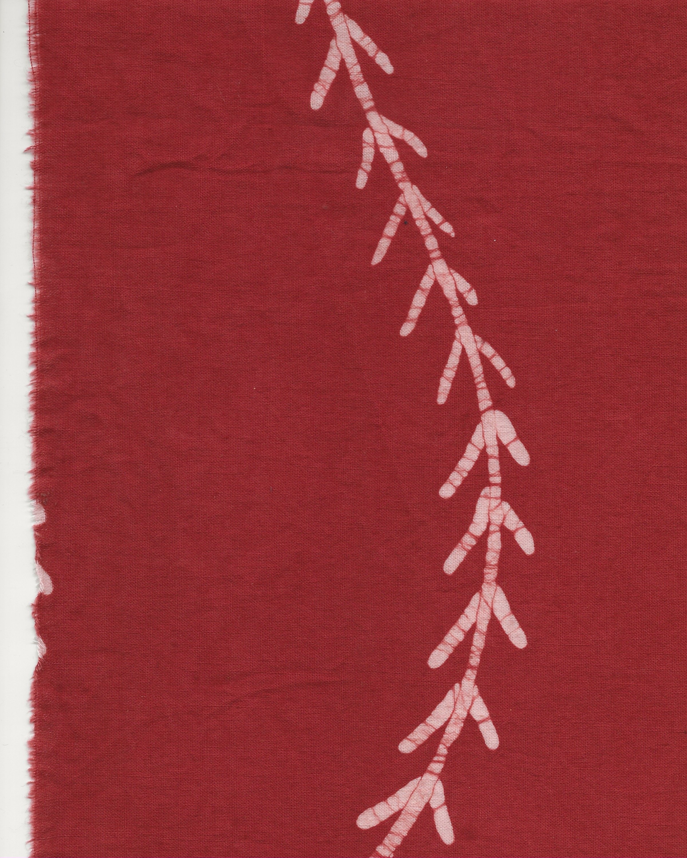 6394C0F4-B306-4A97-BFCC-186248110597 (1).jpeg