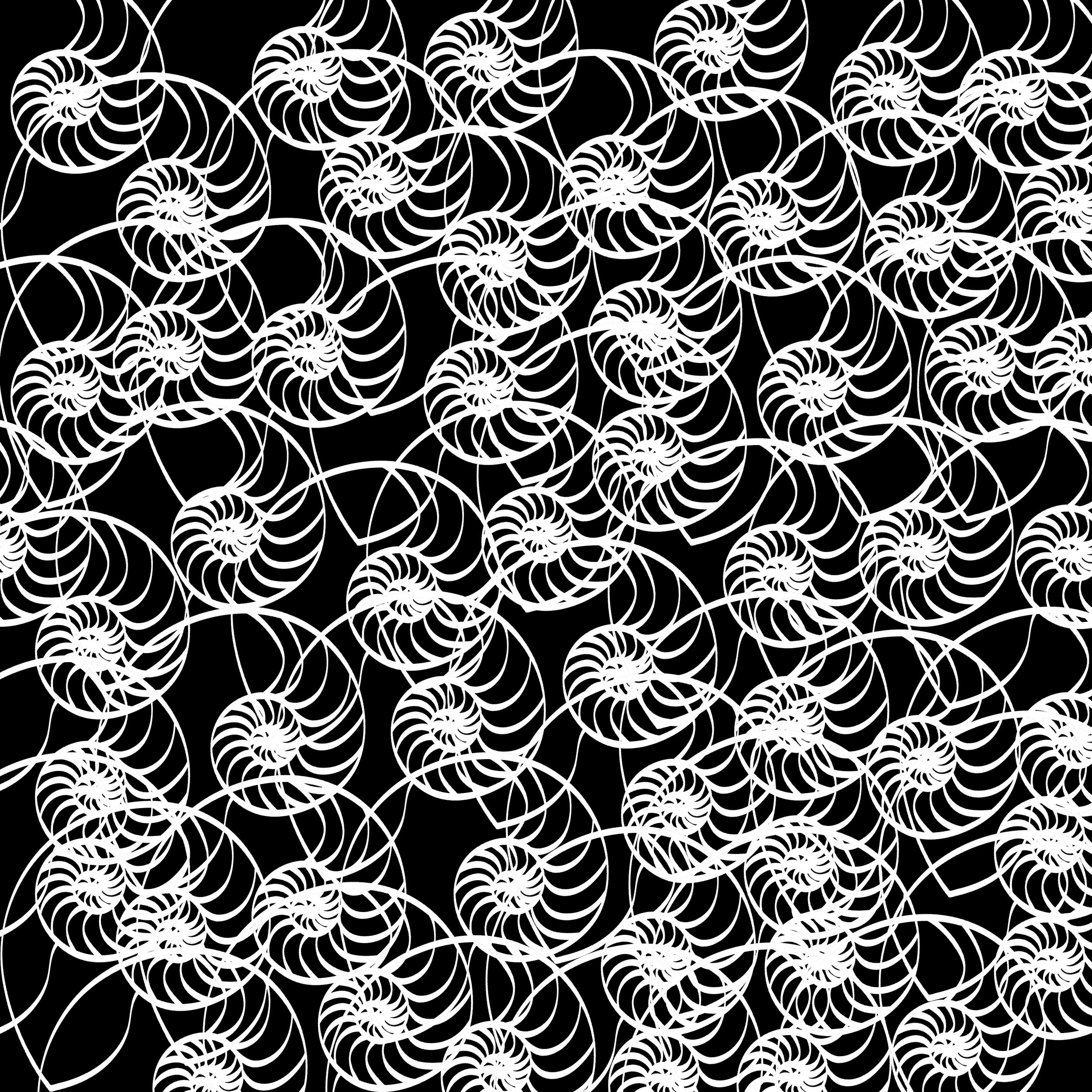 ABSTRACT NAUTILUS- NIGHT-BONE ALT.png