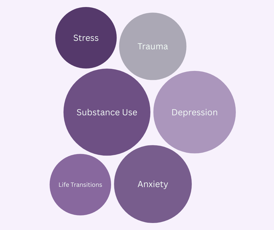 Chart with circles labeled Stress, Trauma, Substance Use, Depression, Life Transitions, and Anxiety.