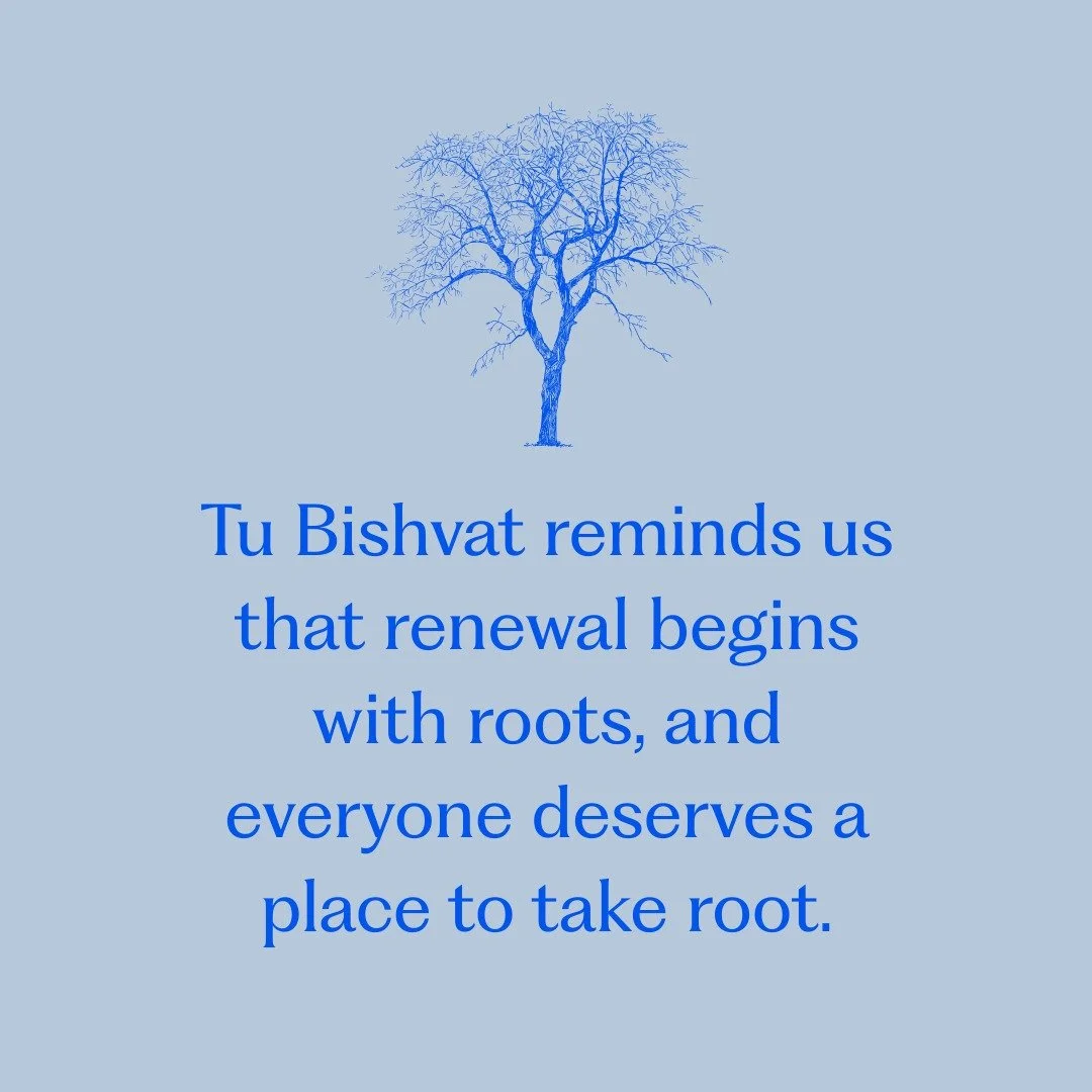 Tu Bishvat reminds us that renewal begins with roots. Just like trees, everyone deserves a place to take root, grow, and flourish.