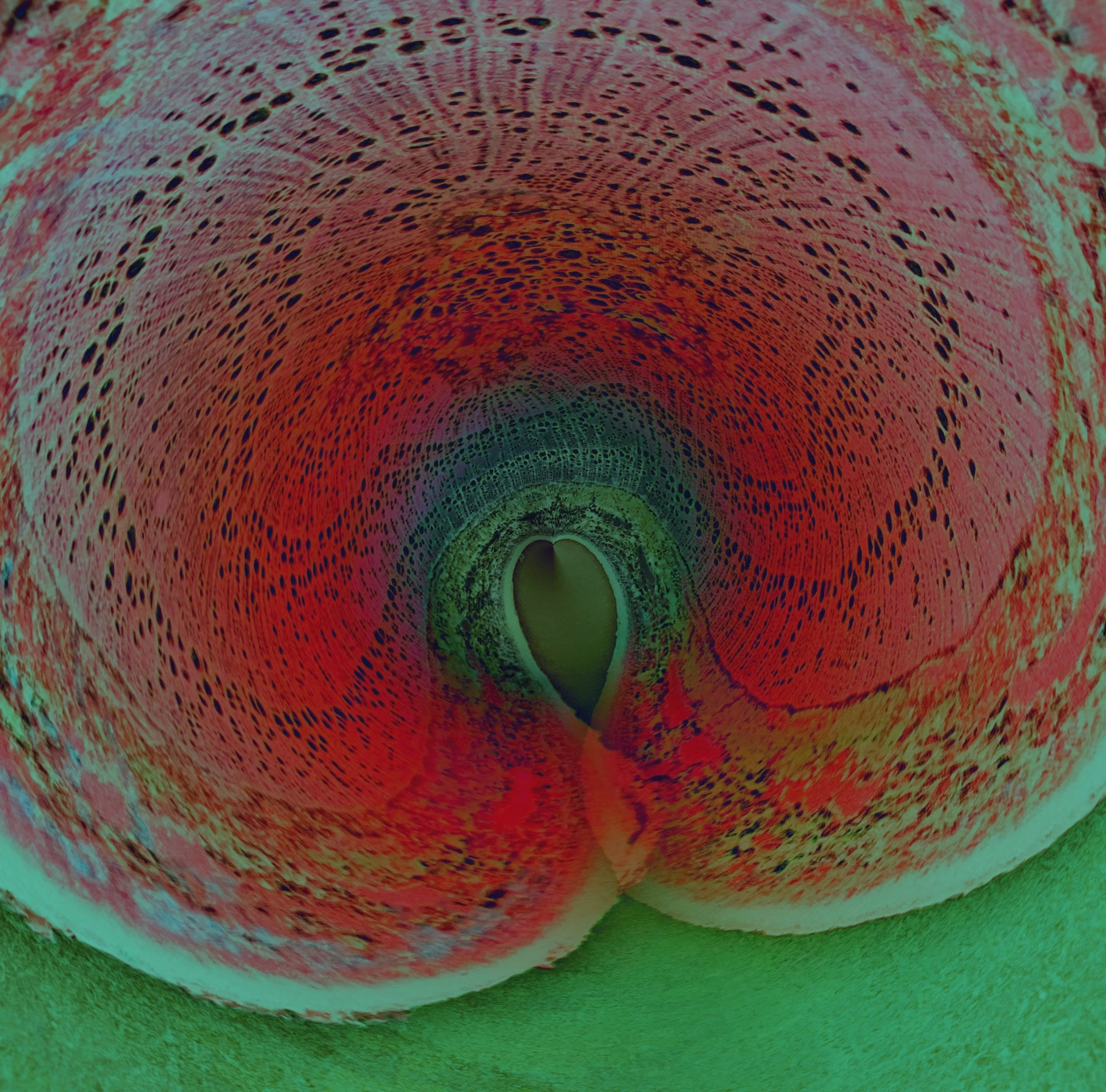 BRAIN CELLS: THINKING IN COLOR