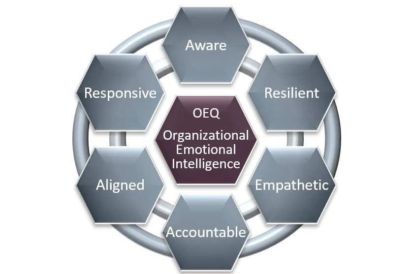 Using Data to Optimize Organizational Emotional Intelligence (OEQ)