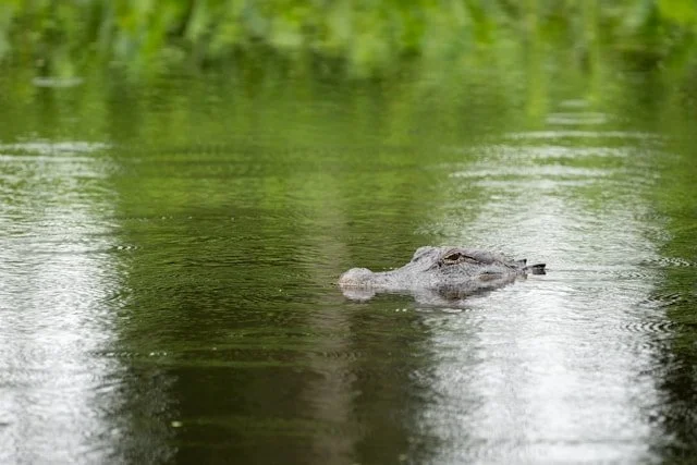 Conflict is a Leading Indicator of Risk, but Most is Hidden