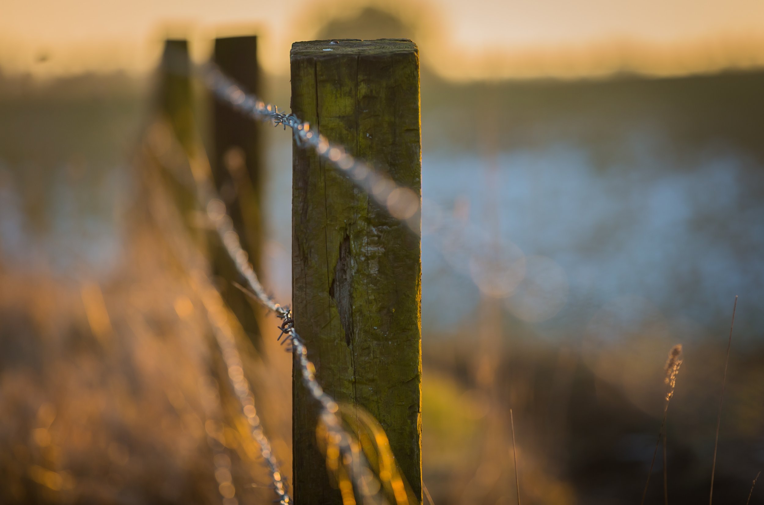Opening the Fence