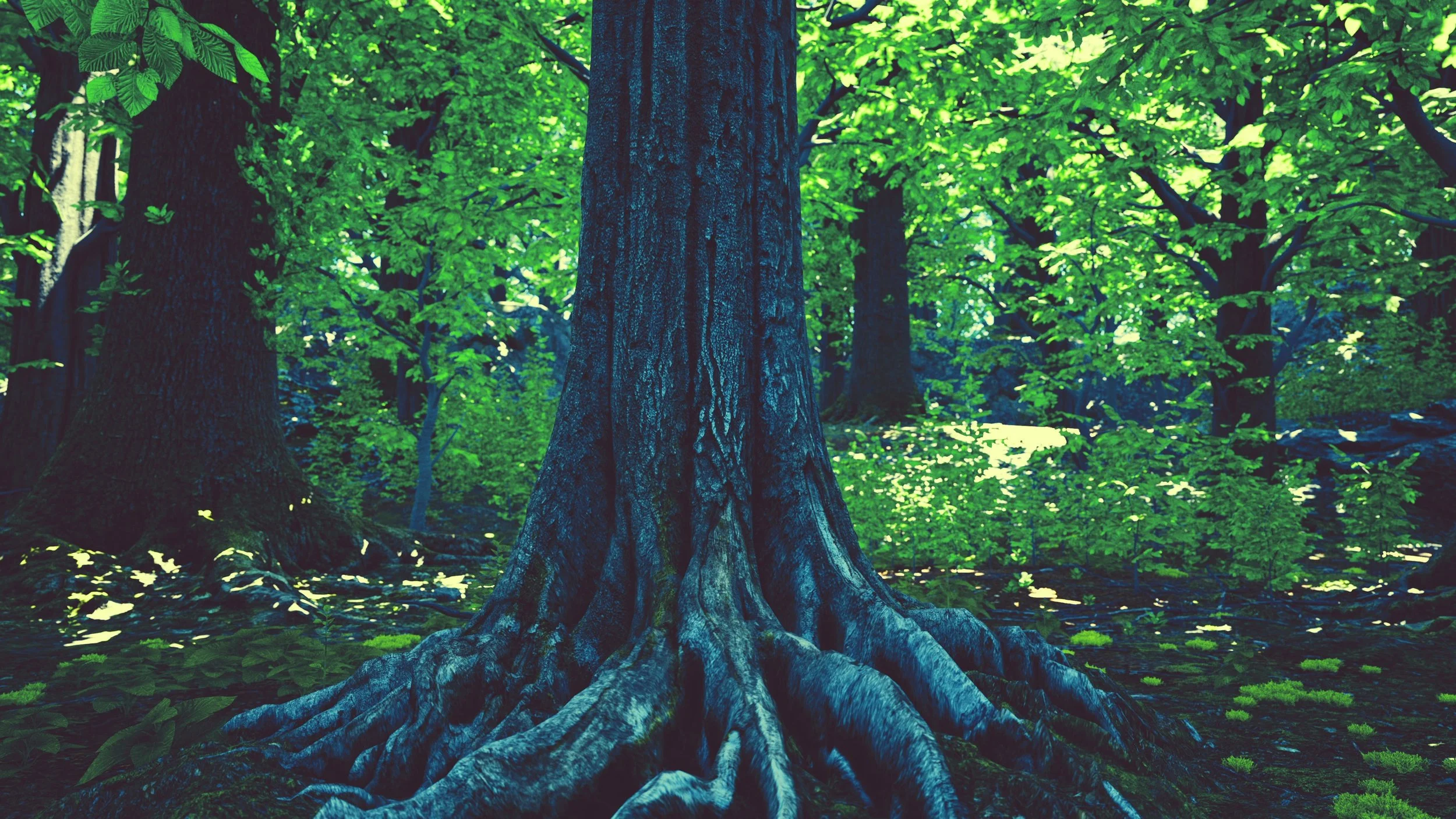 Which way does a tree grow?
