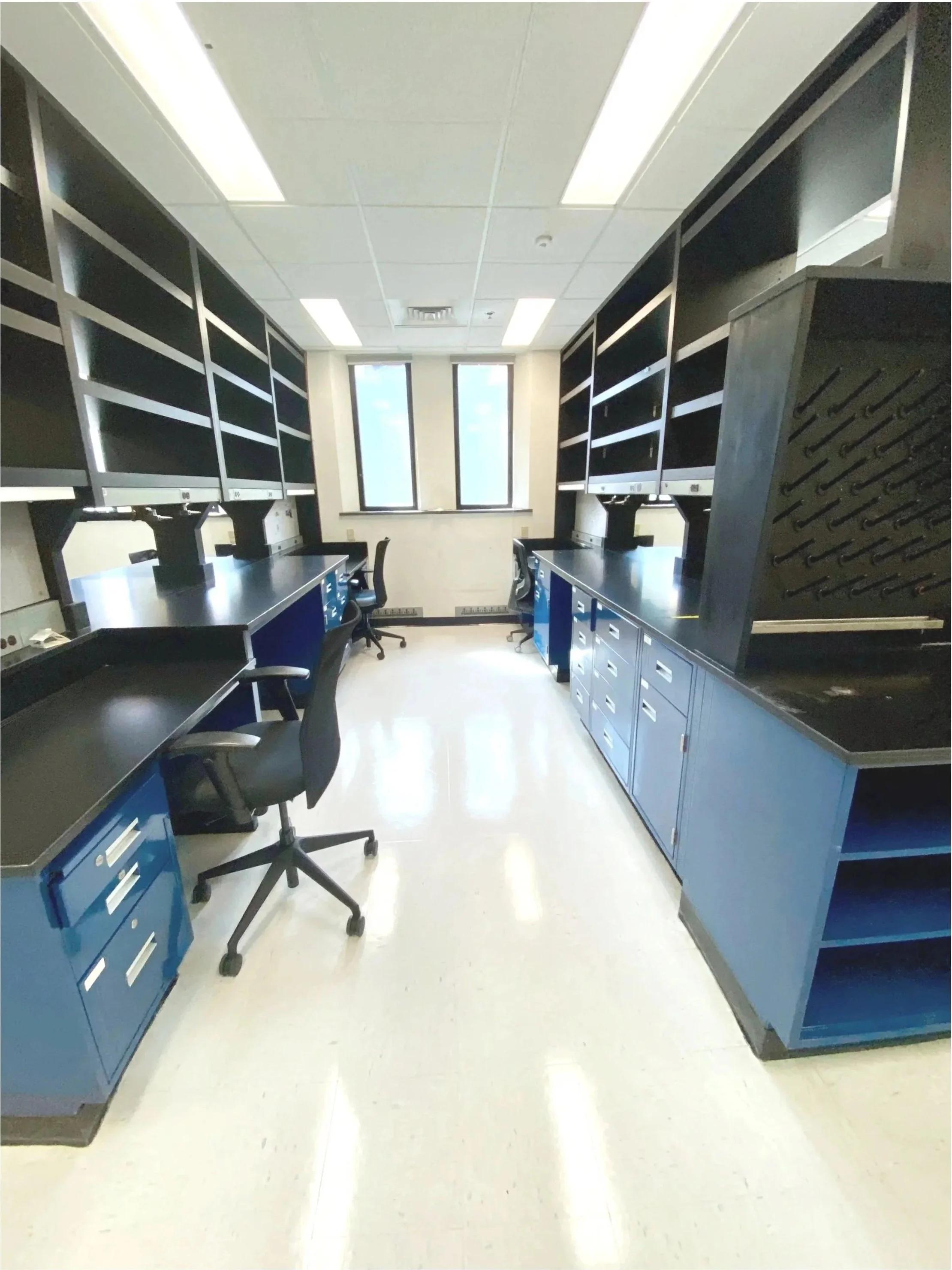 Quinodoz lab after a fresh cleaning - ready to set up!