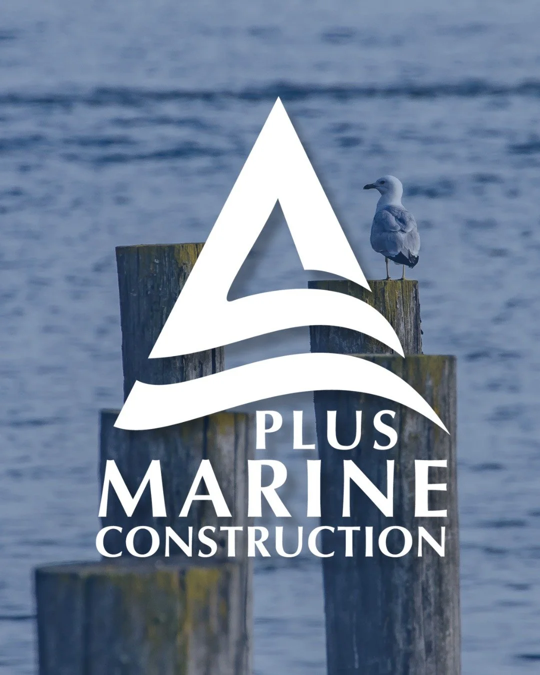 Introducing A Plus Marine! Your waterfront experts, ready to bring your marine projects to life. From piers to boat lifts to decks, bulkheads, dredging, and more - we handle it ALL with efficiency and care. 

Give us a call today at (228) 870-6181. L