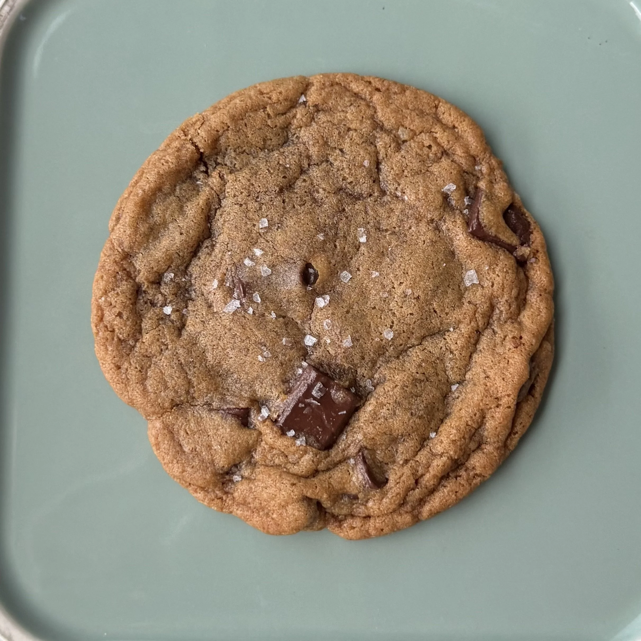 Toasted Milk Chocolate Chip