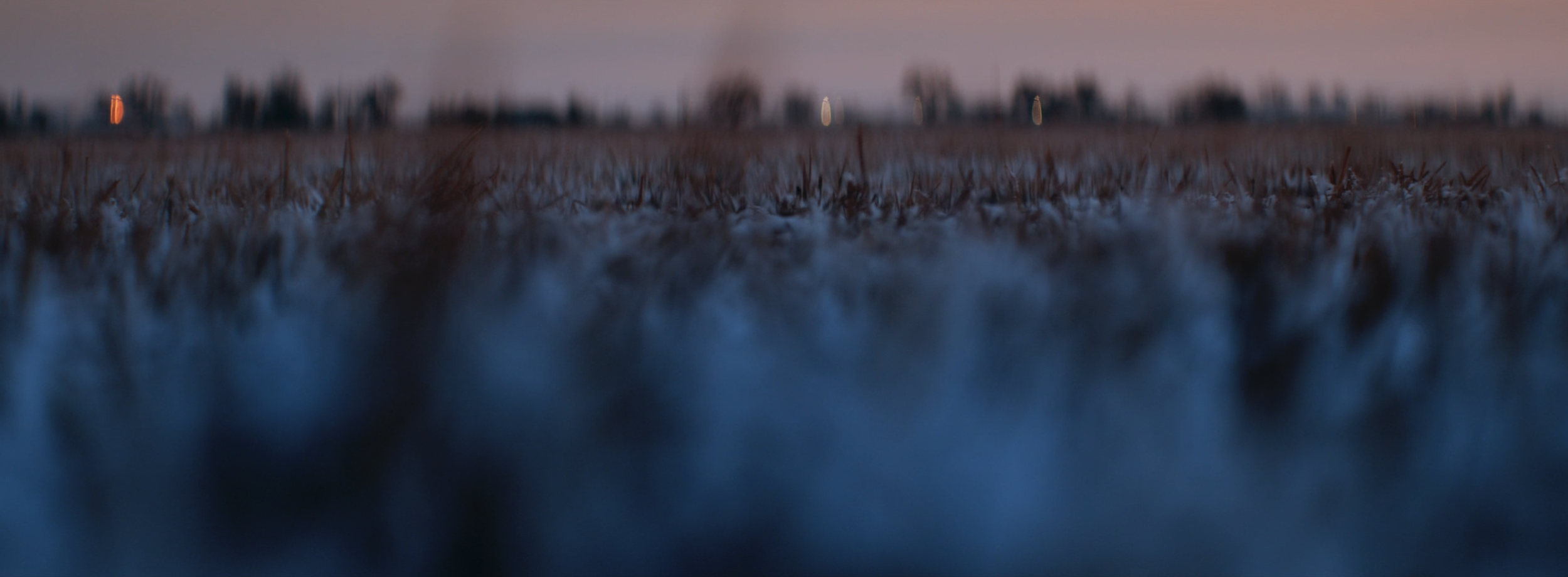 Screenshot 2024-10-25 at 10.35.44.png