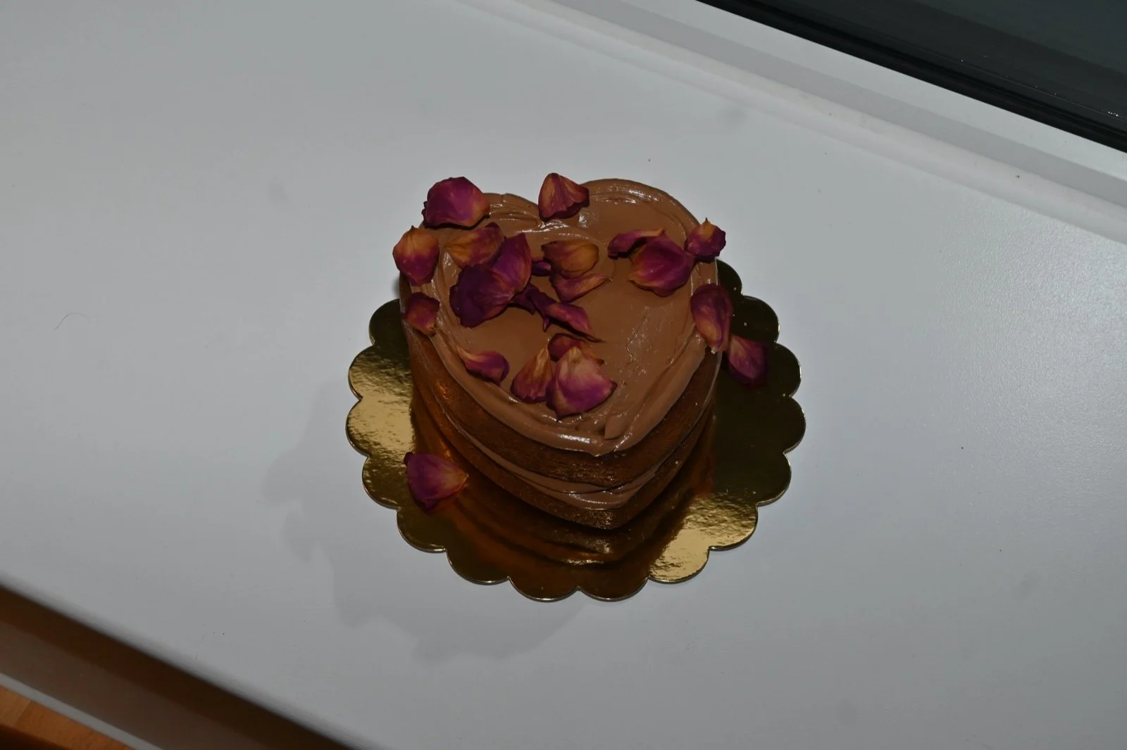 WhatsApp Image 2026-02-16 at 17.17.07.jpeg