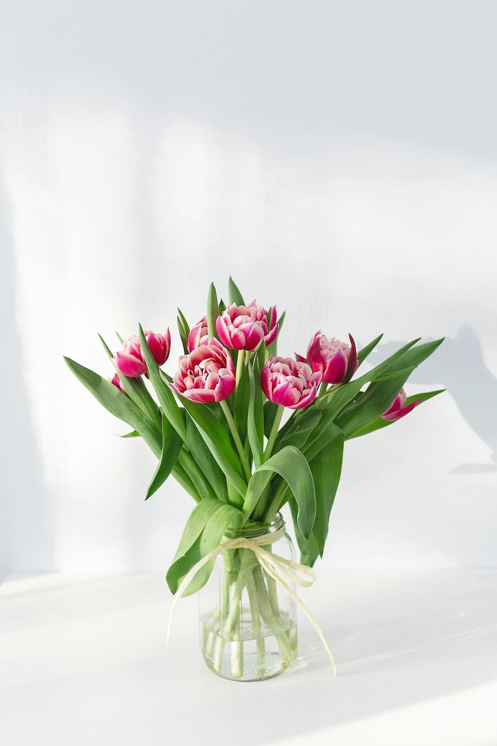 Pink tulips in a glass vase on a white surface with a white background.
