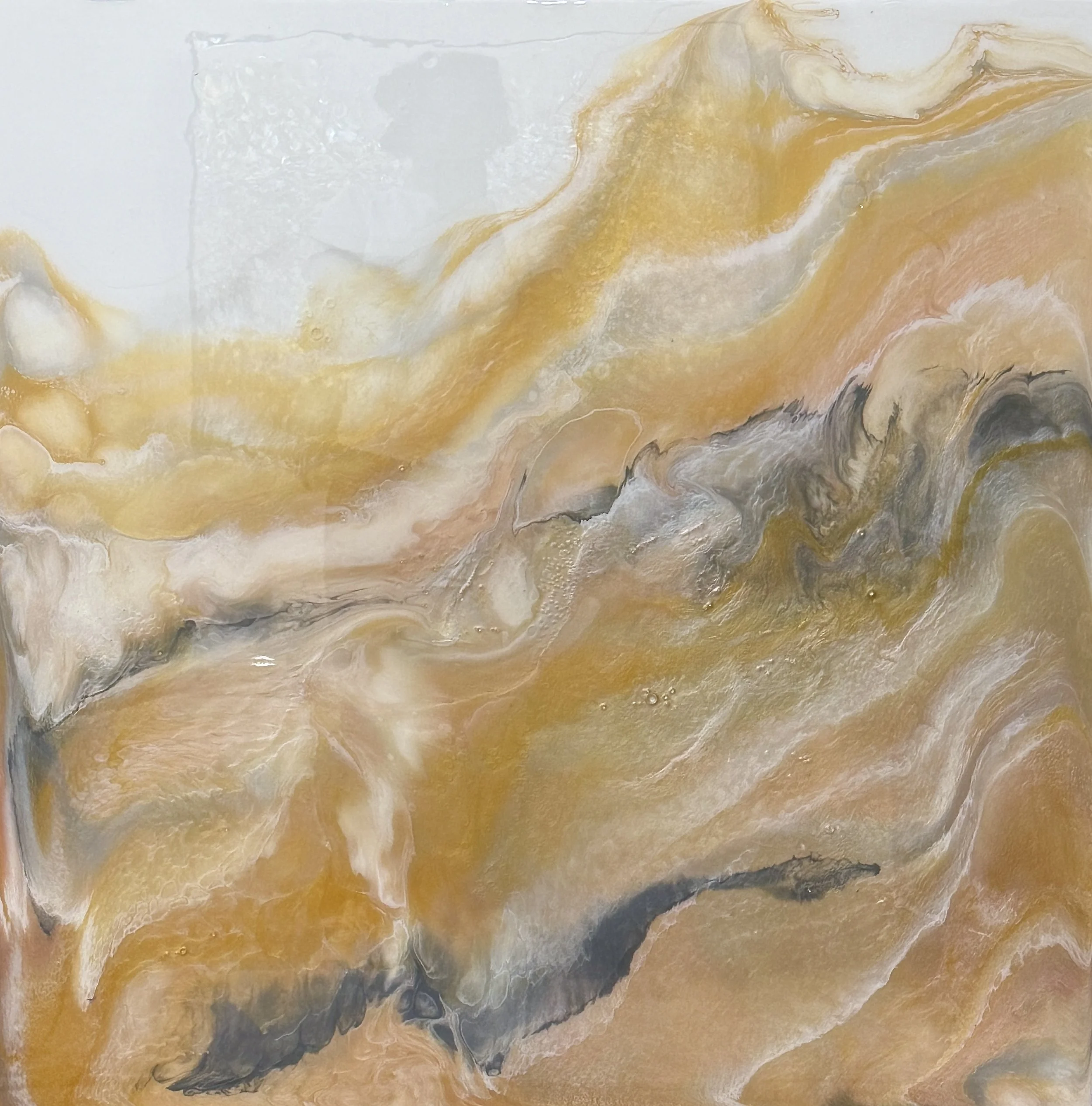 Sediment 36 x 36.JPG