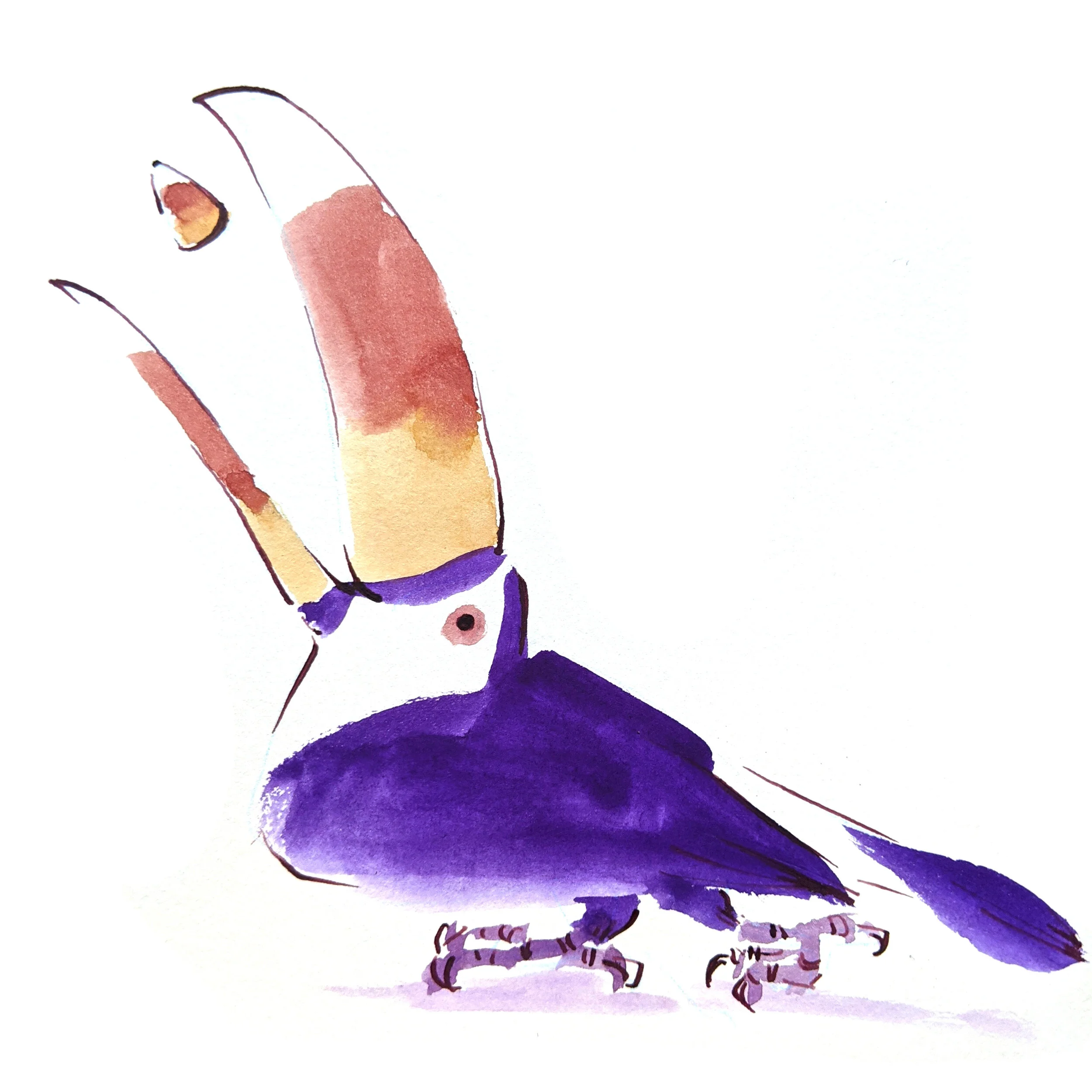 A toucan eating candy corn