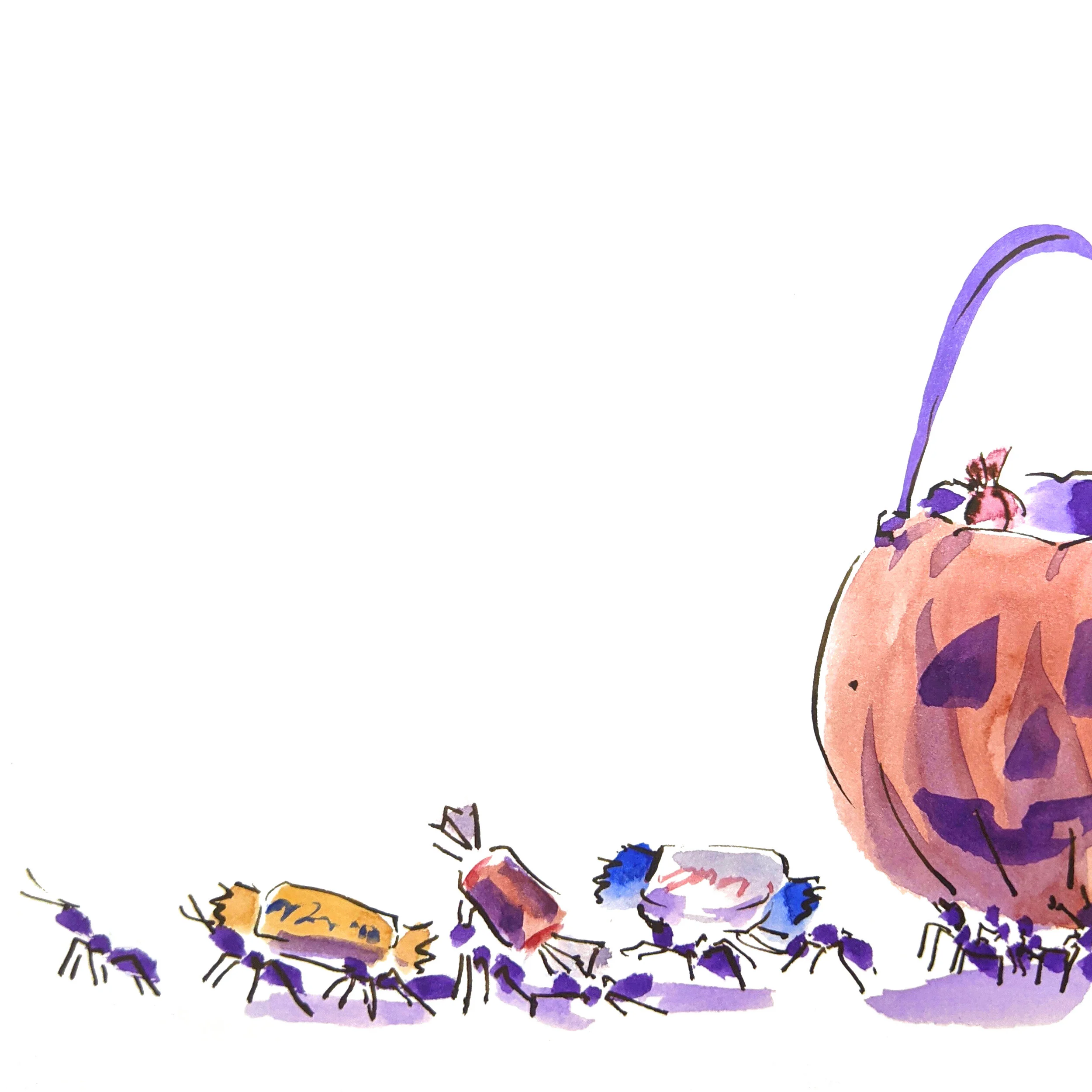 Ants taking candy from a pumpkin basket