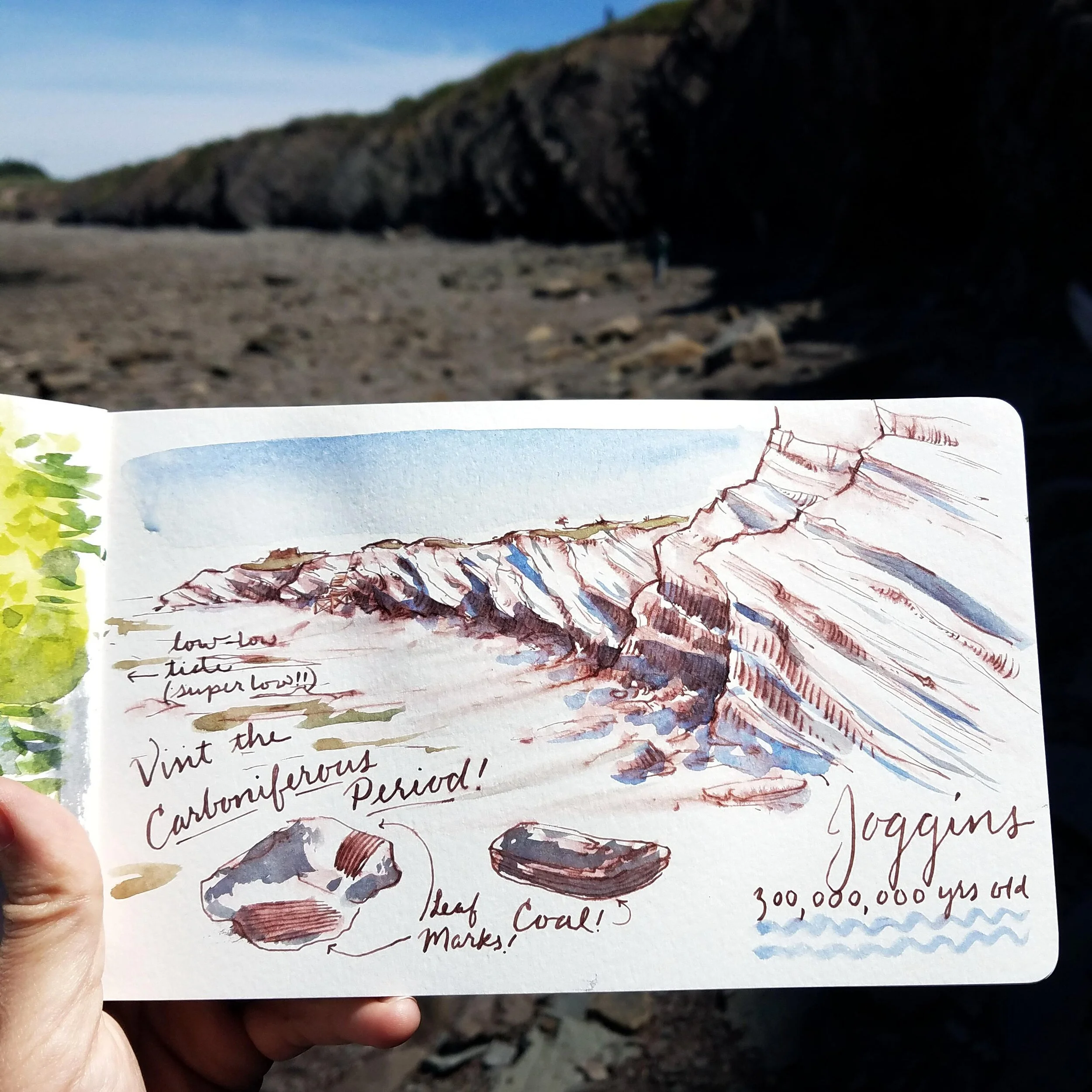 A sketch of fossil cliffs
