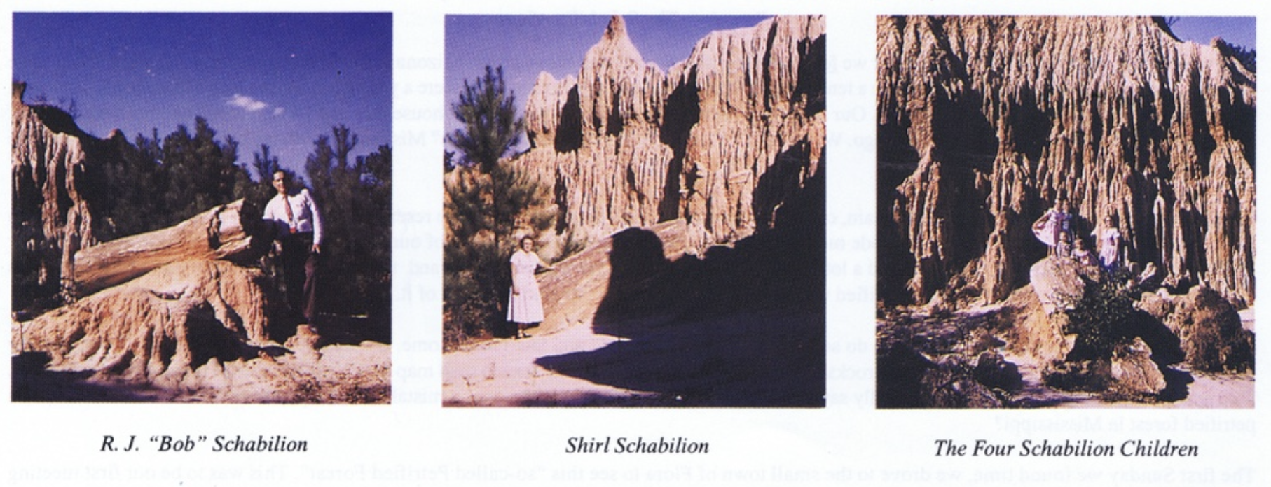 A triptych of old color photographs featuring members of the Schabilion family standing among petrified logs. They are captioned "R.J. 'Bob' Schabilion," "Shirl Schabilion," and "The Four Schabilion Children."